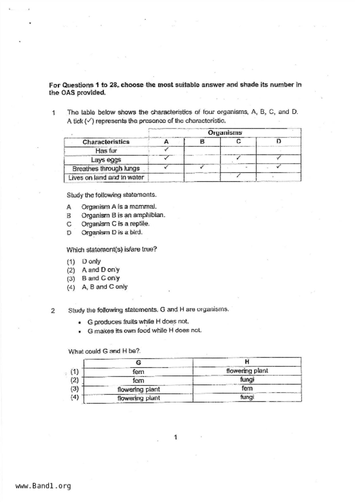 P6Science試卷