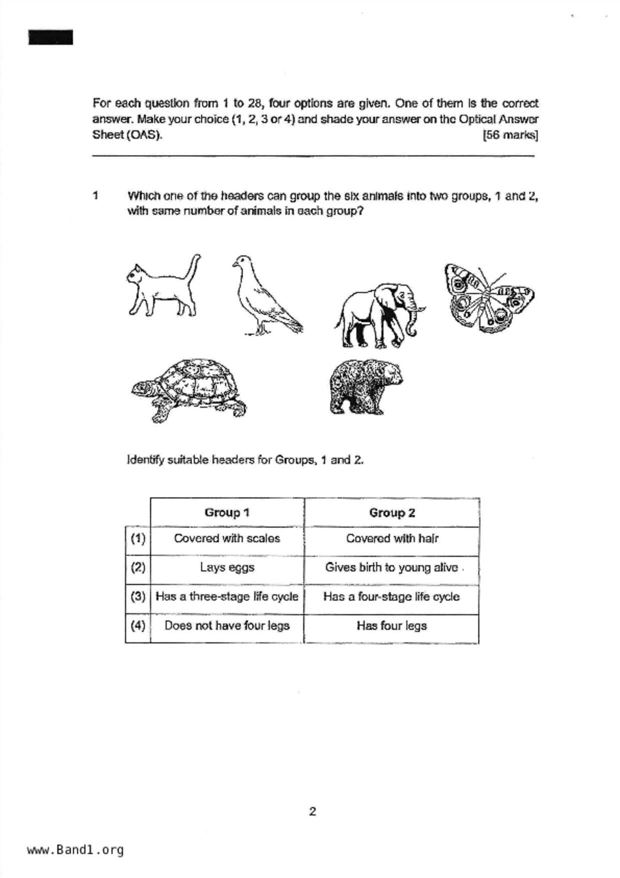 P6Science試卷