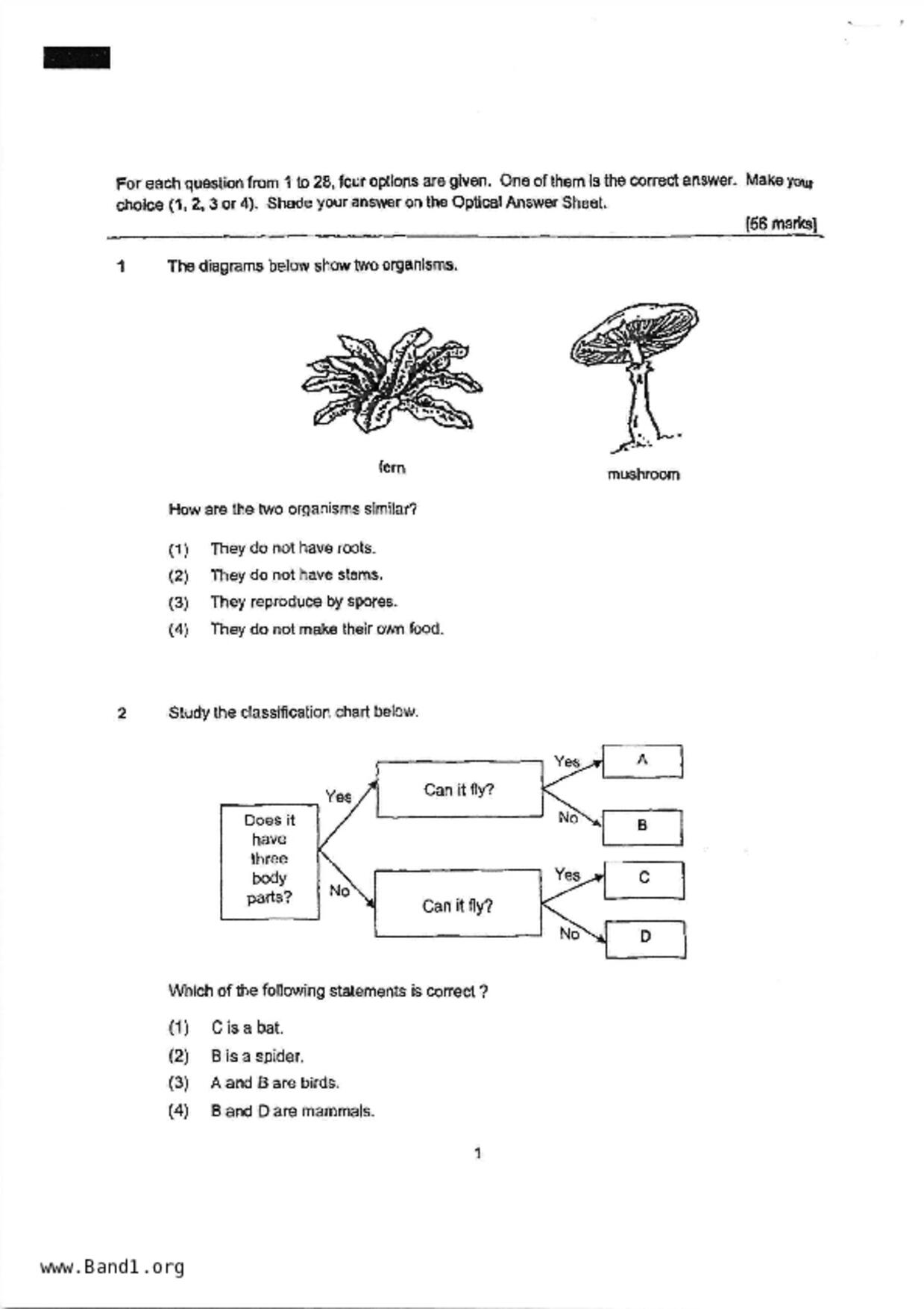 P6Science試卷