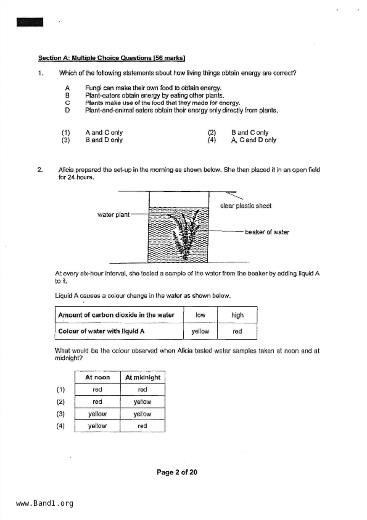 P6Science試卷