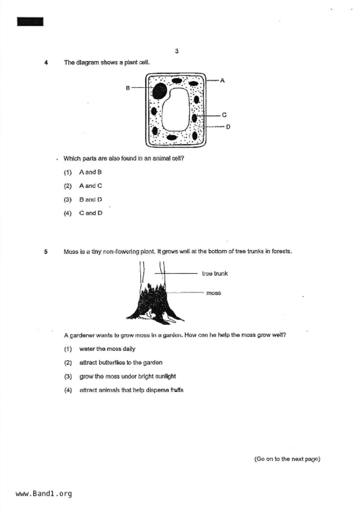 P6Science試卷