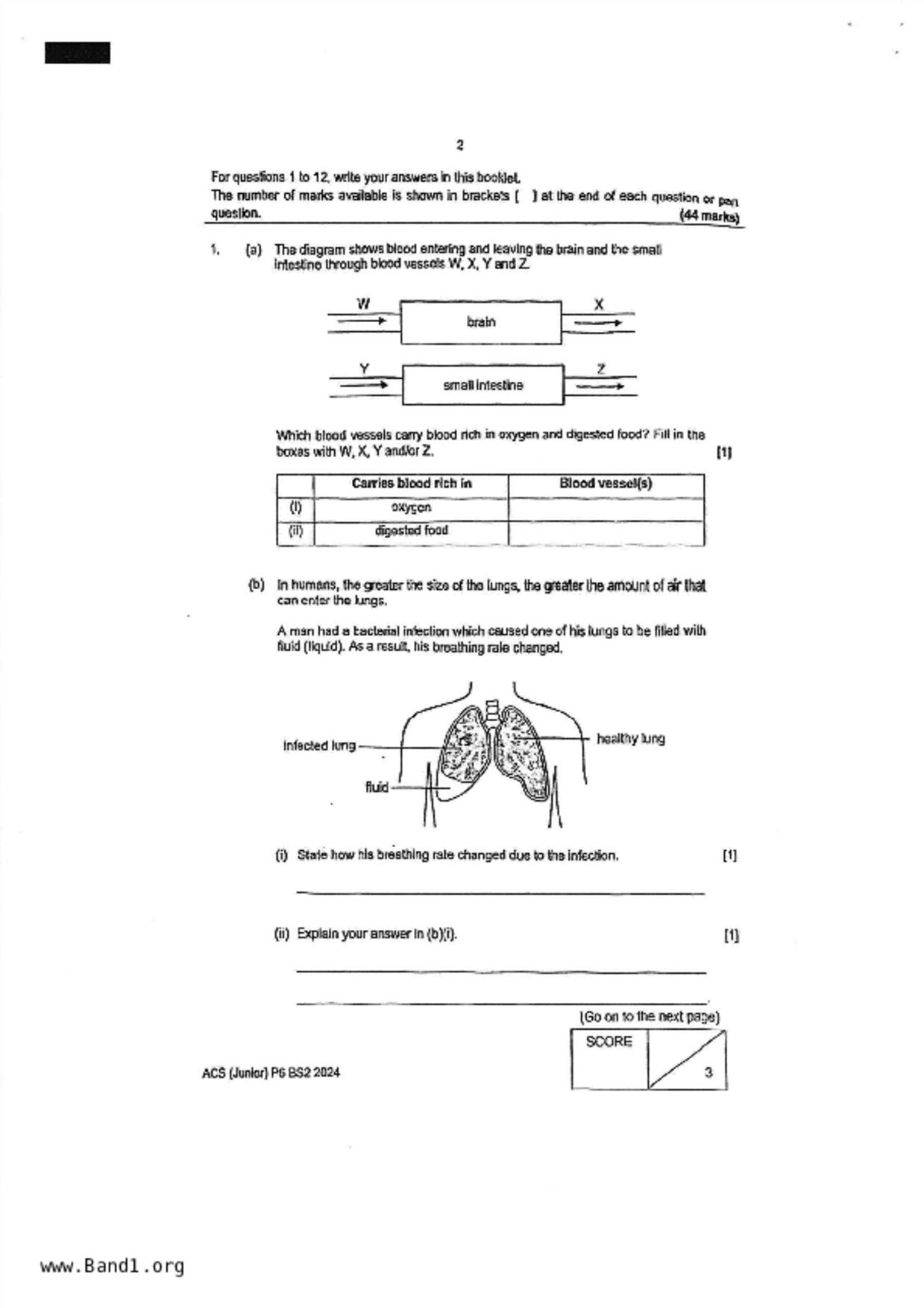 P6Science試卷