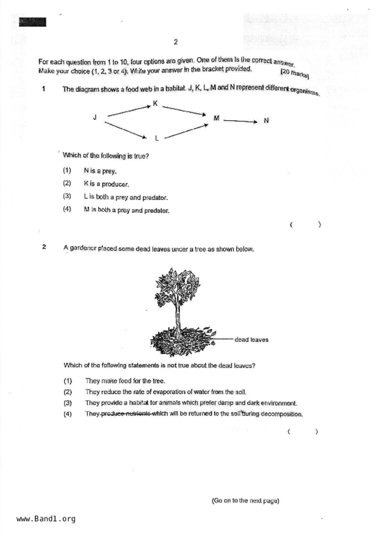 P6Science試卷