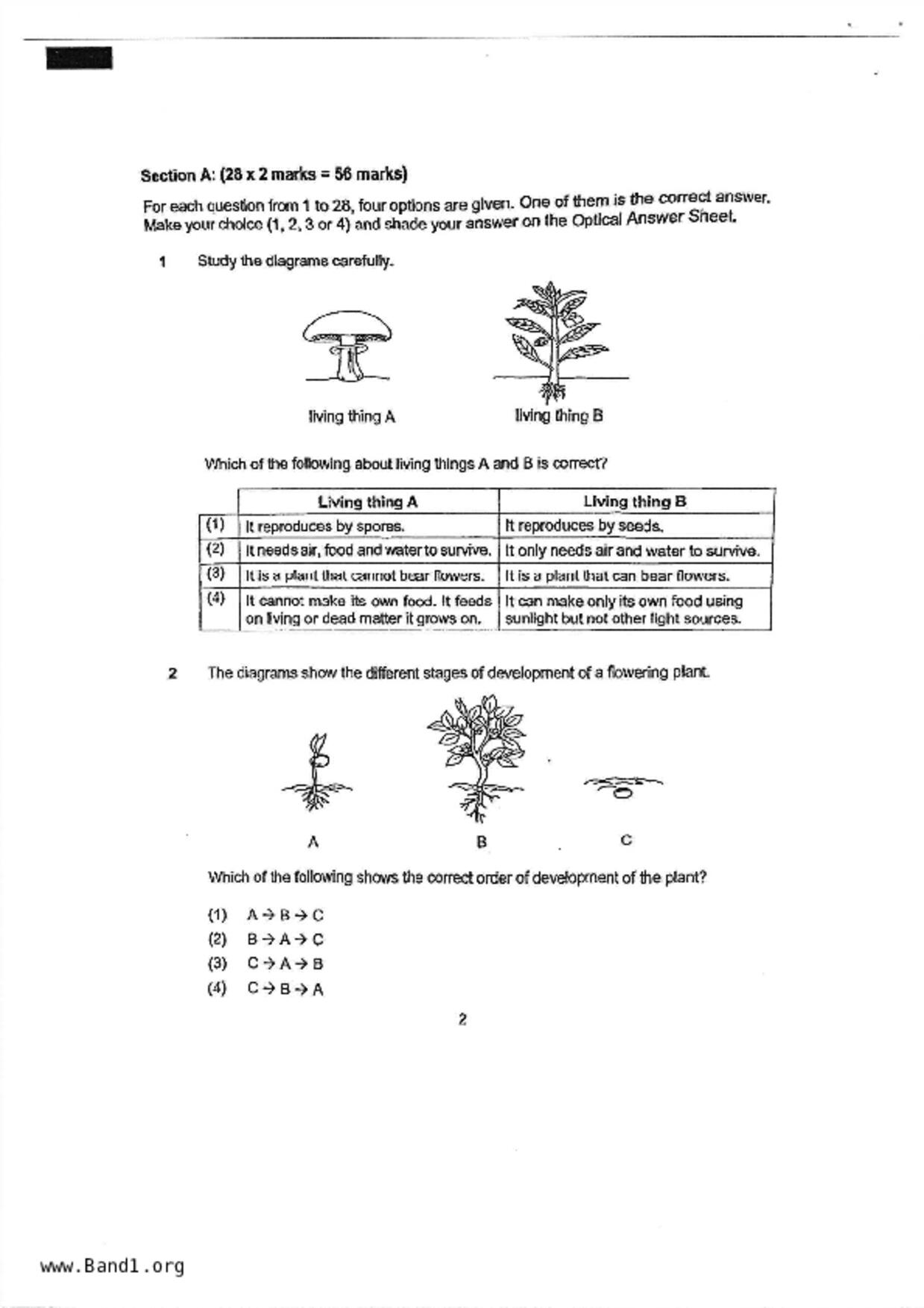 P6Science試卷