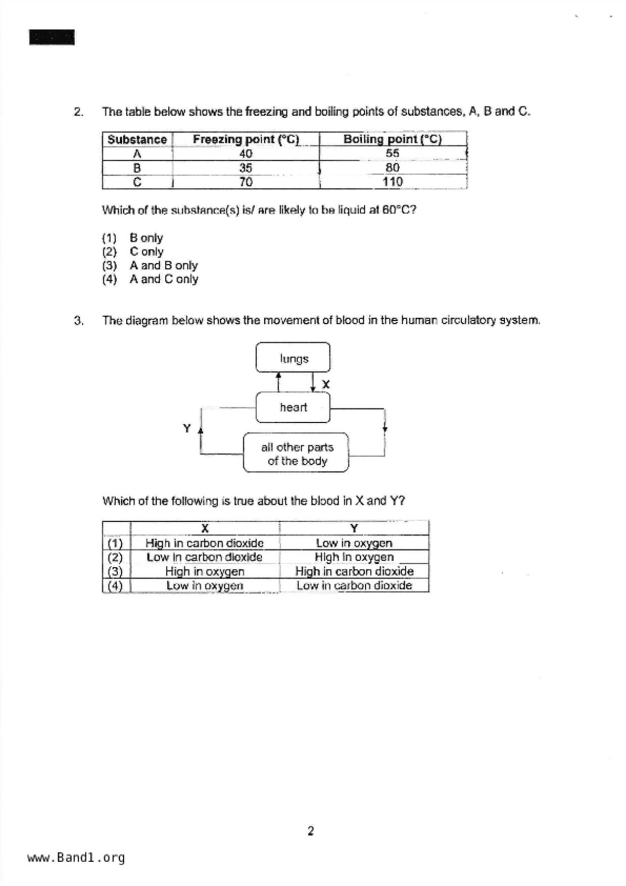 P6Science試卷