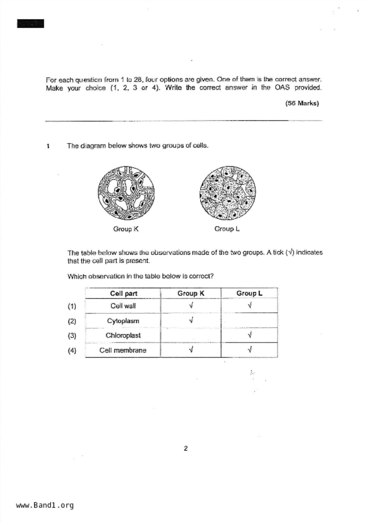 P6Science試卷