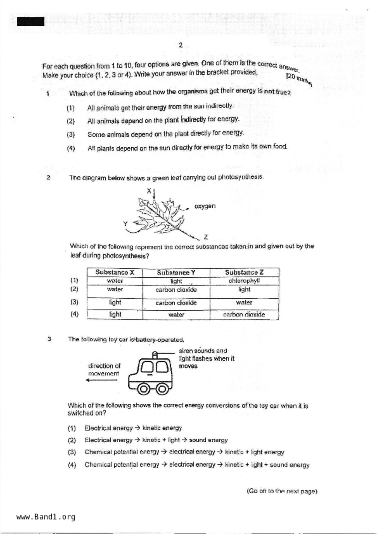 P6Science試卷