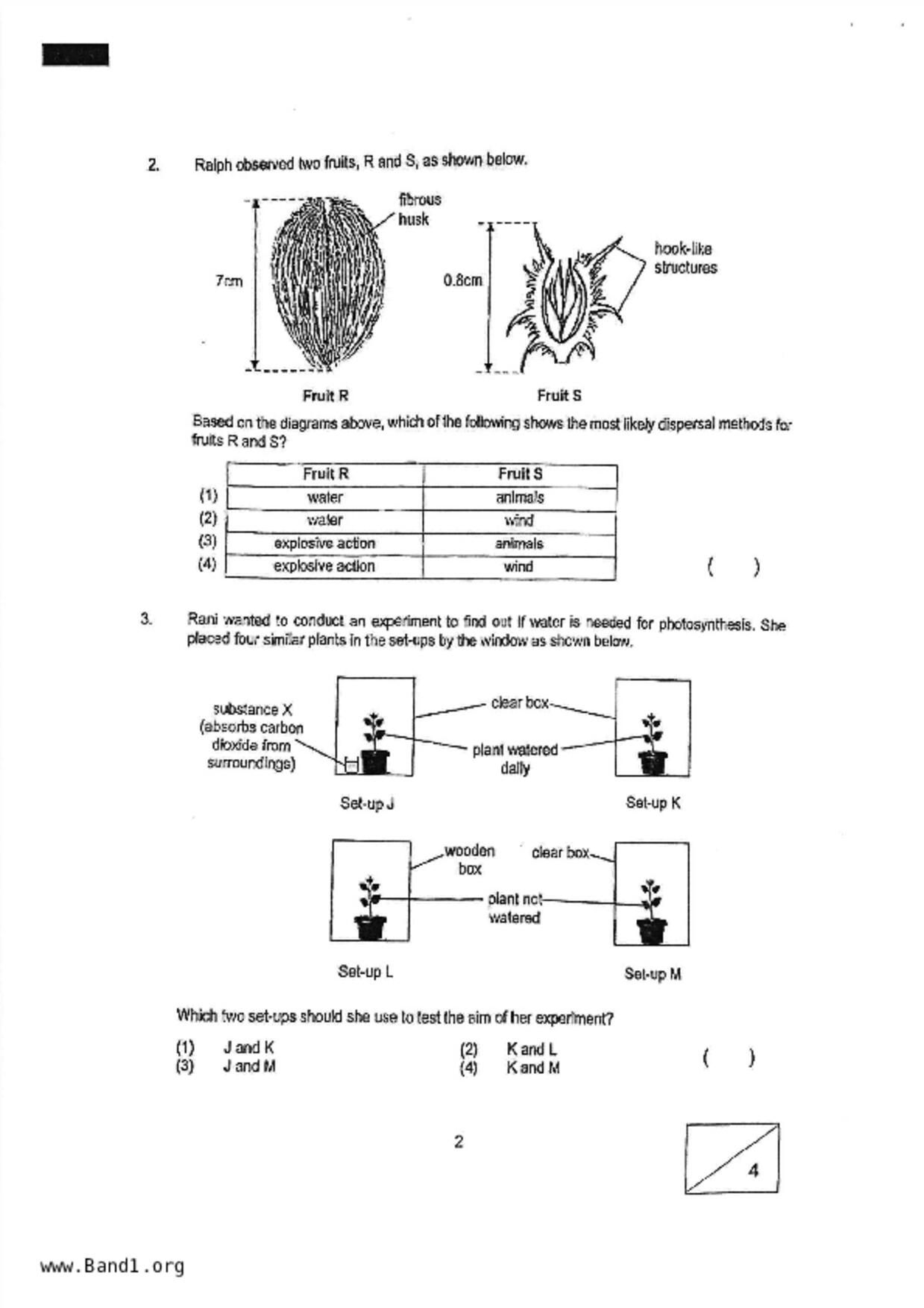 P6Science試卷