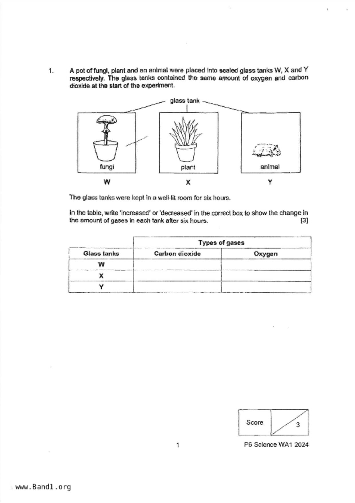 P6Science試卷