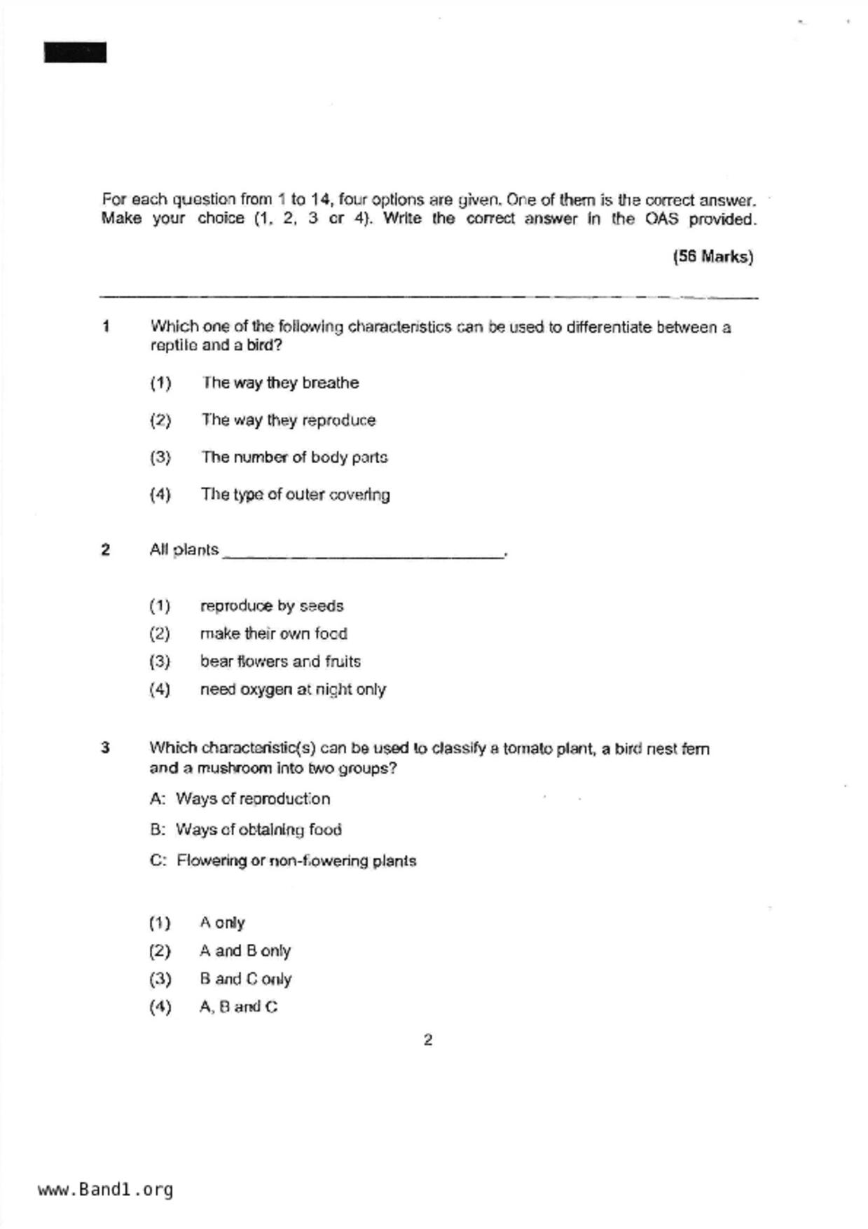 P6Science試卷
