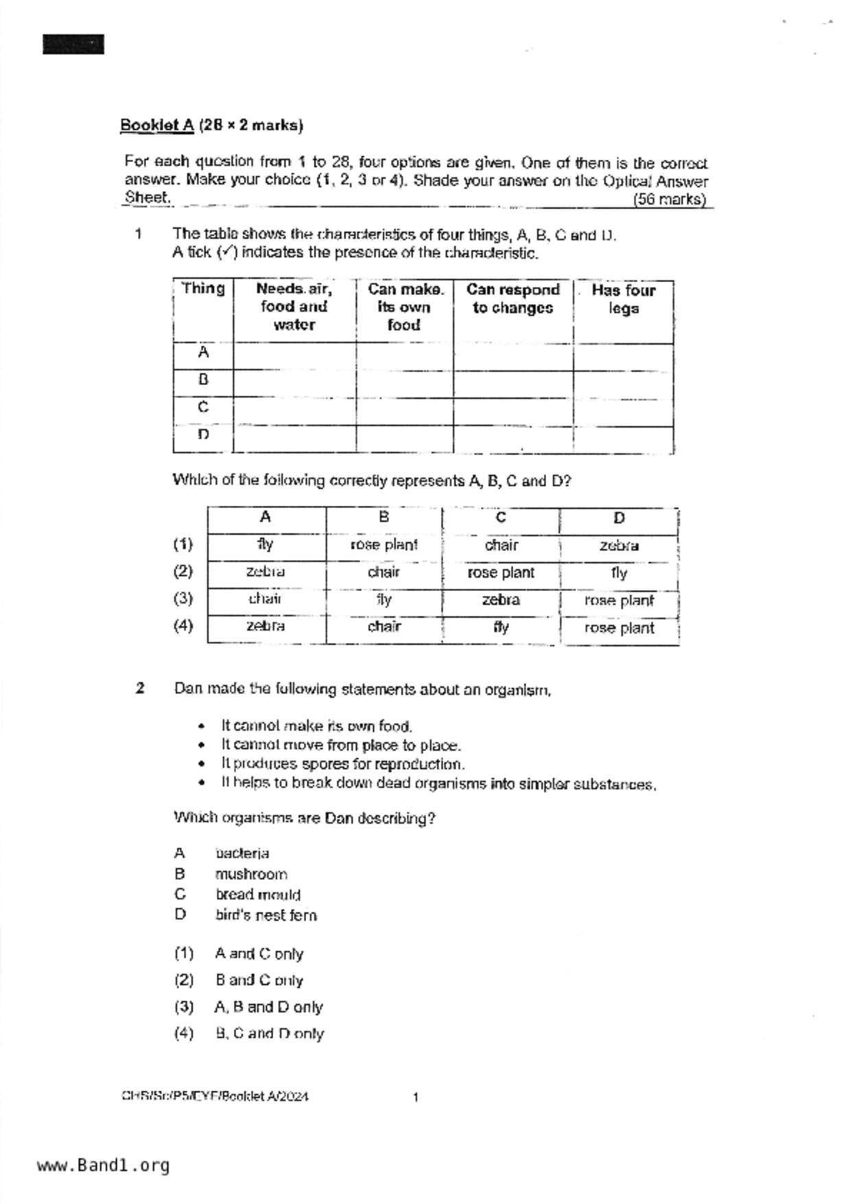 P5Science試卷