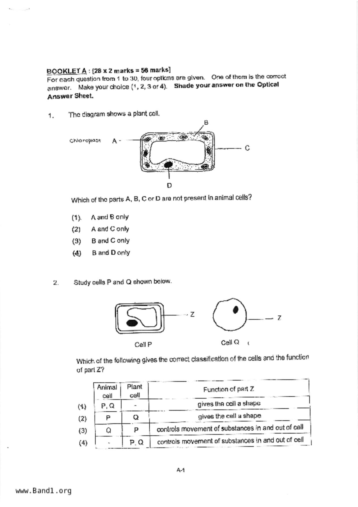 P5Science試卷