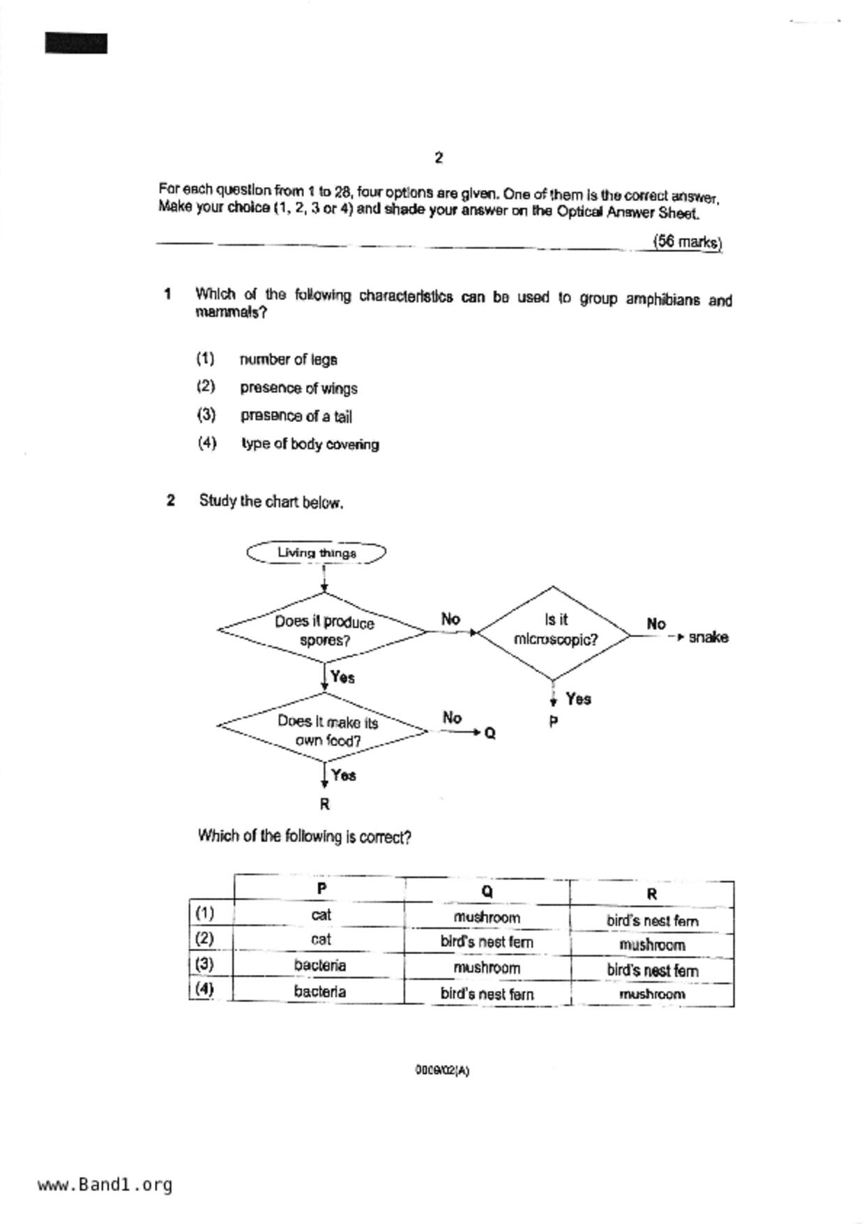 P5Science試卷