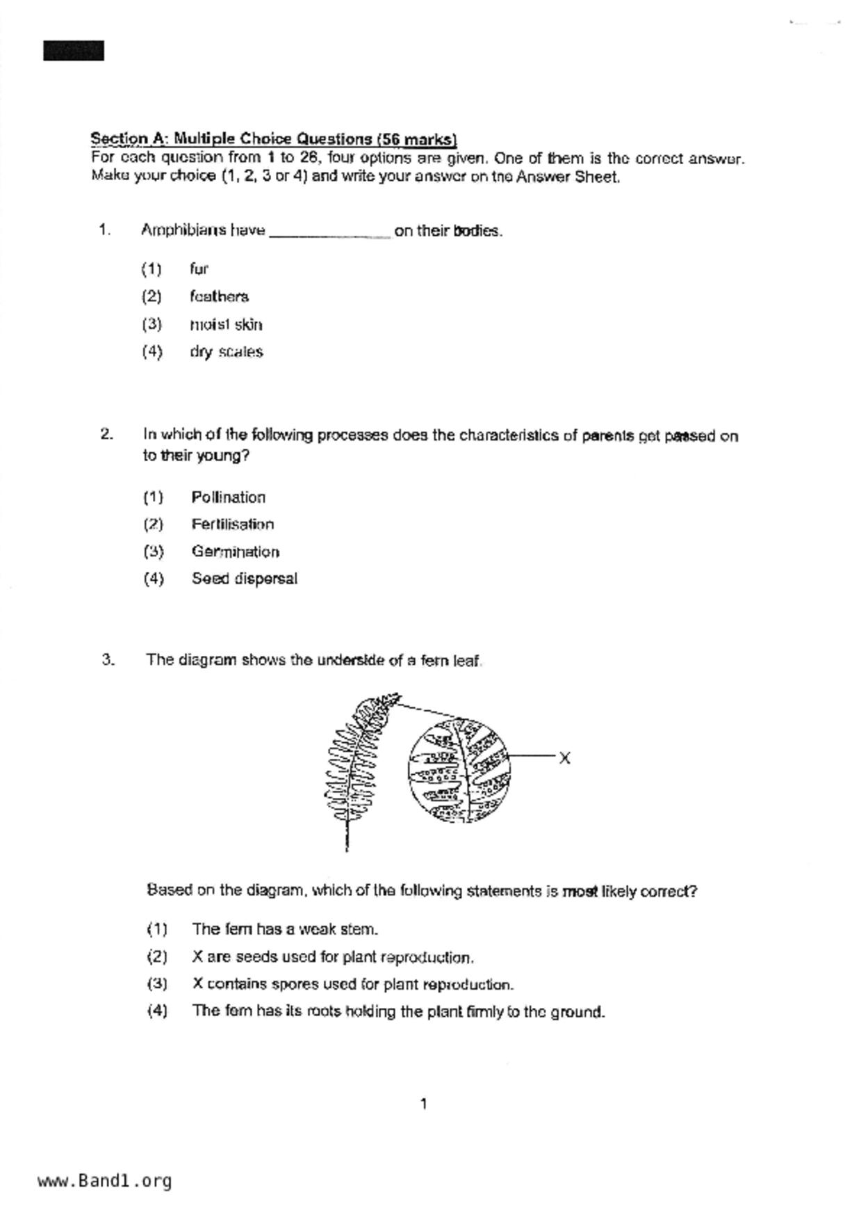 P5Science試卷