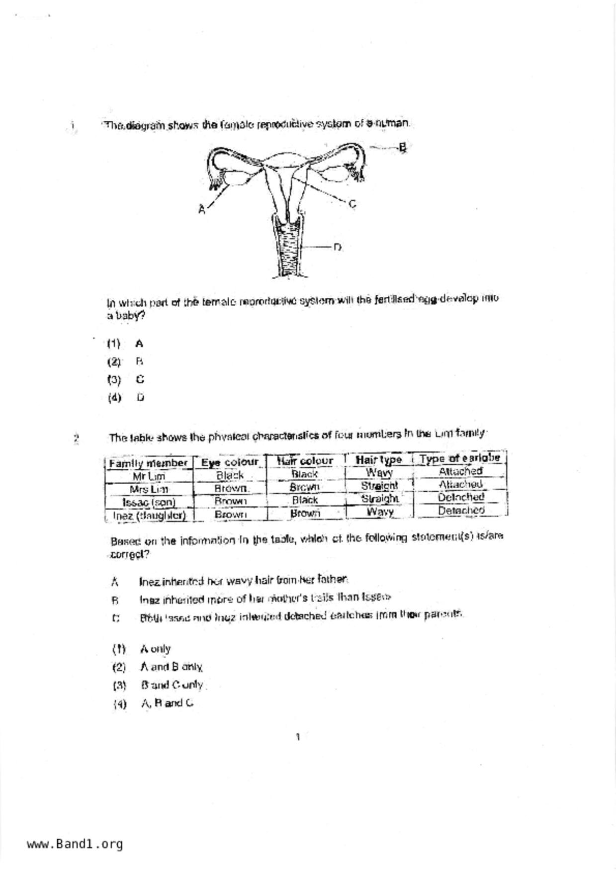 P5Science試卷