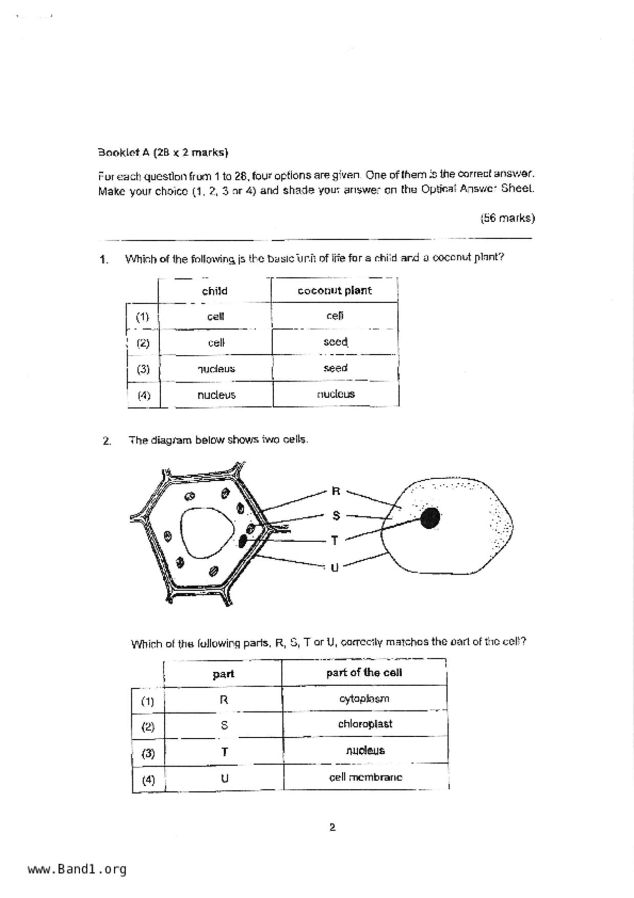 P5Science試卷
