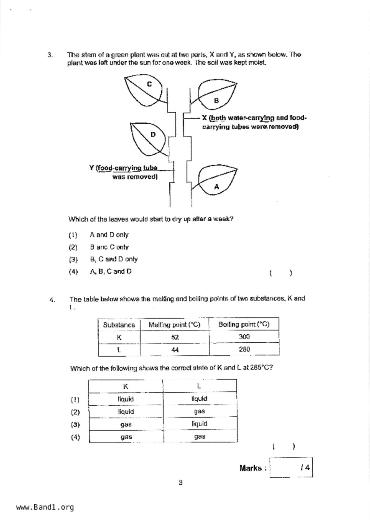 P5Science試卷