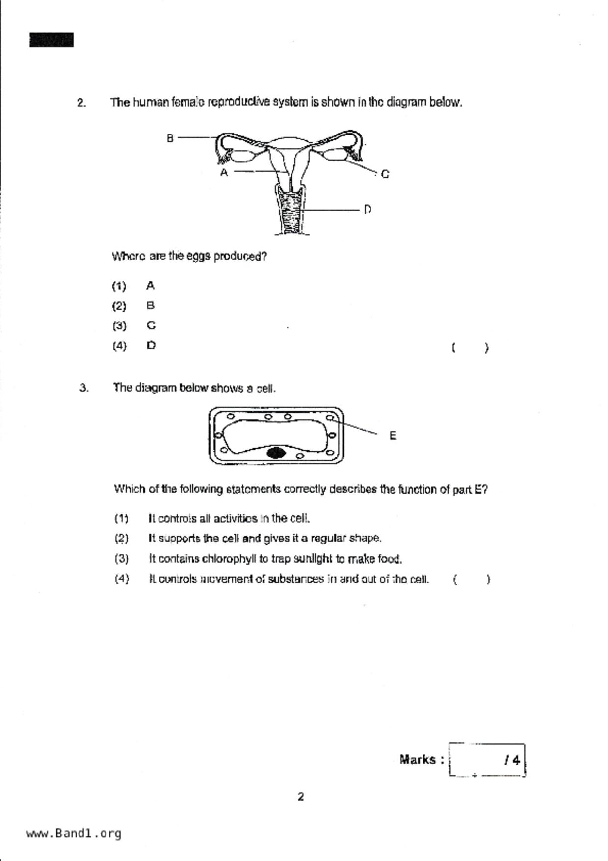 P5Science試卷