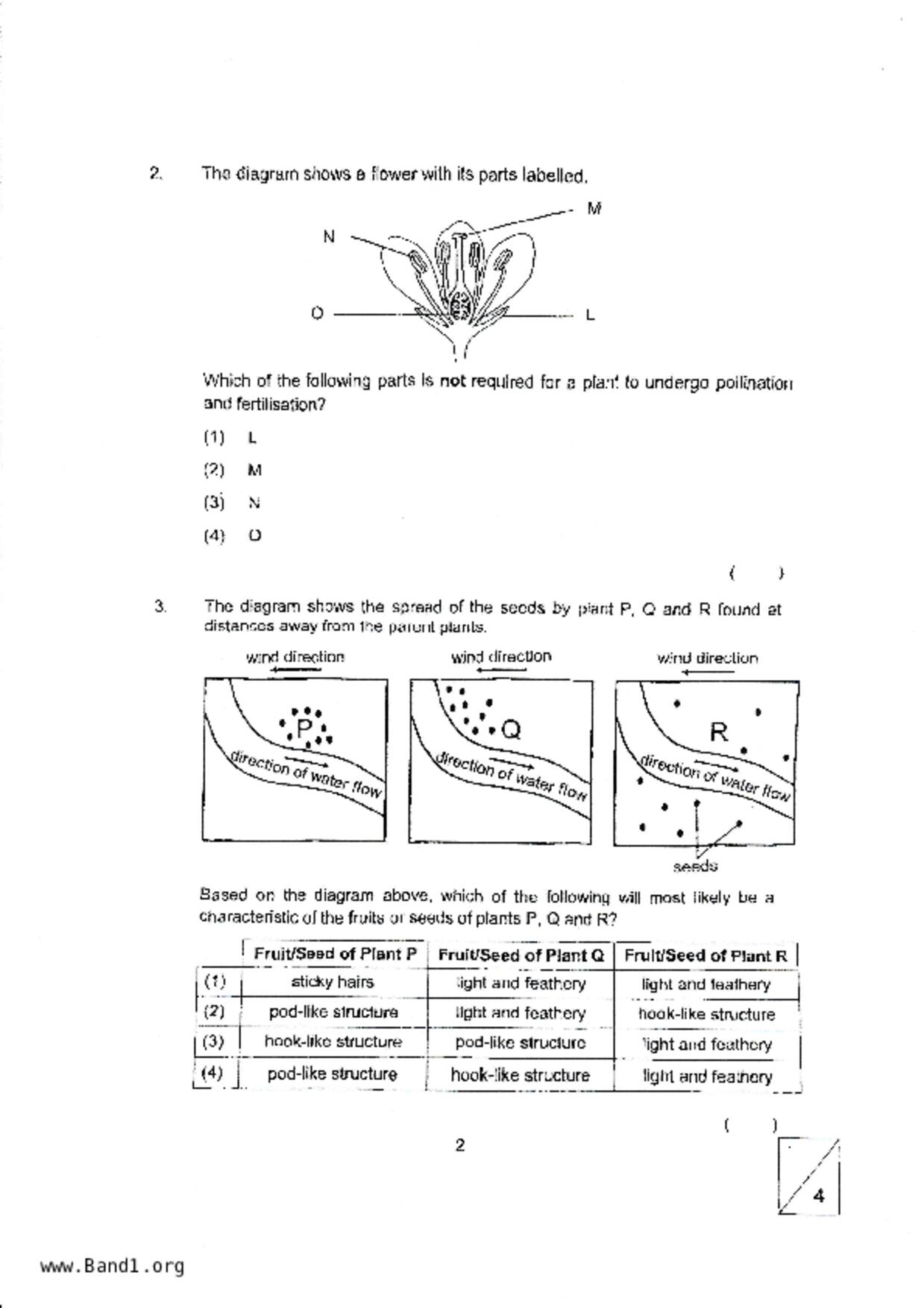 P5Science試卷
