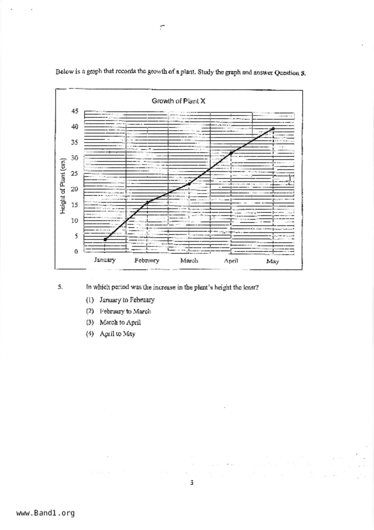 P4Maths試卷