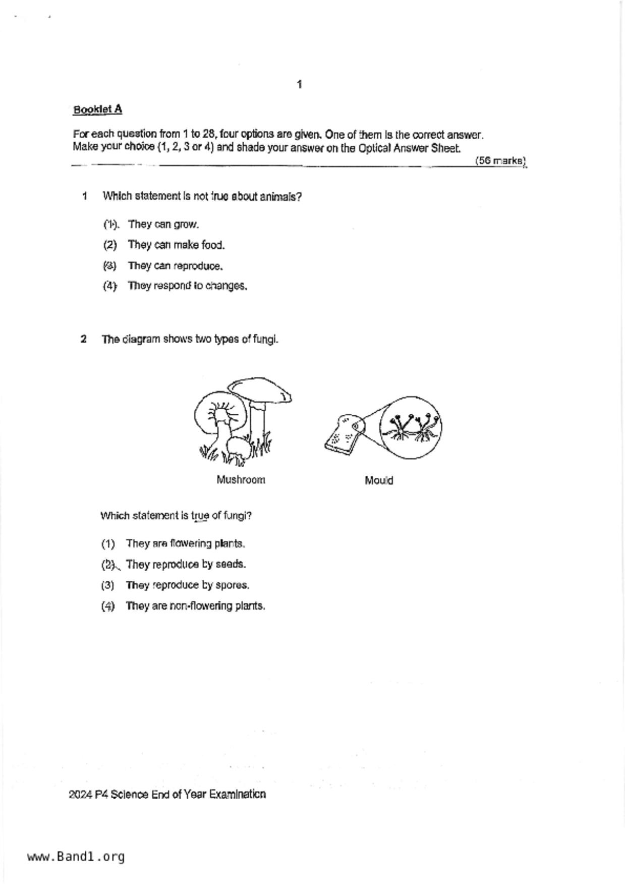 P4Science試卷