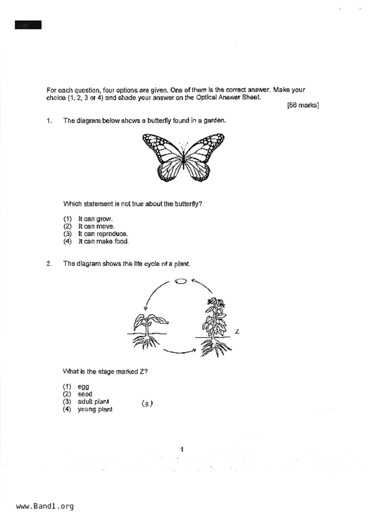 P4Science試卷