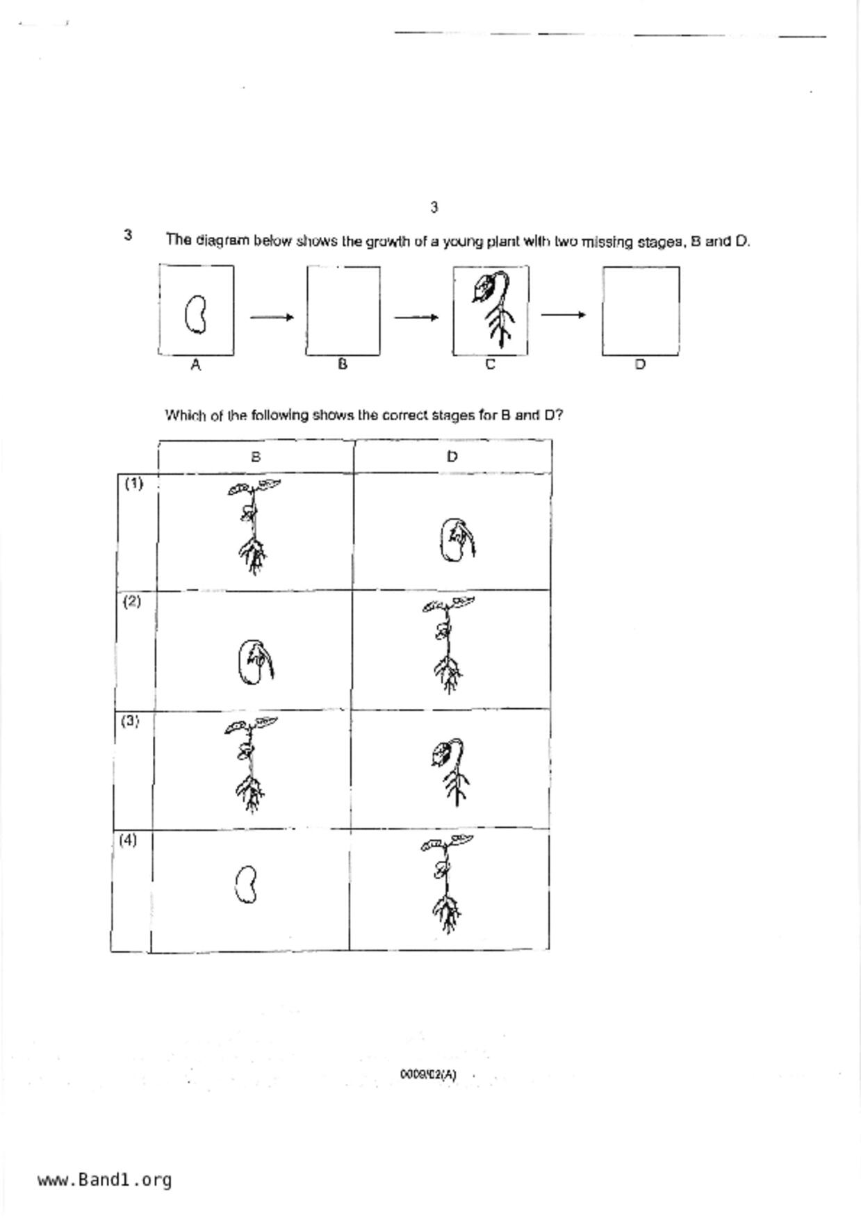 P4Science試卷