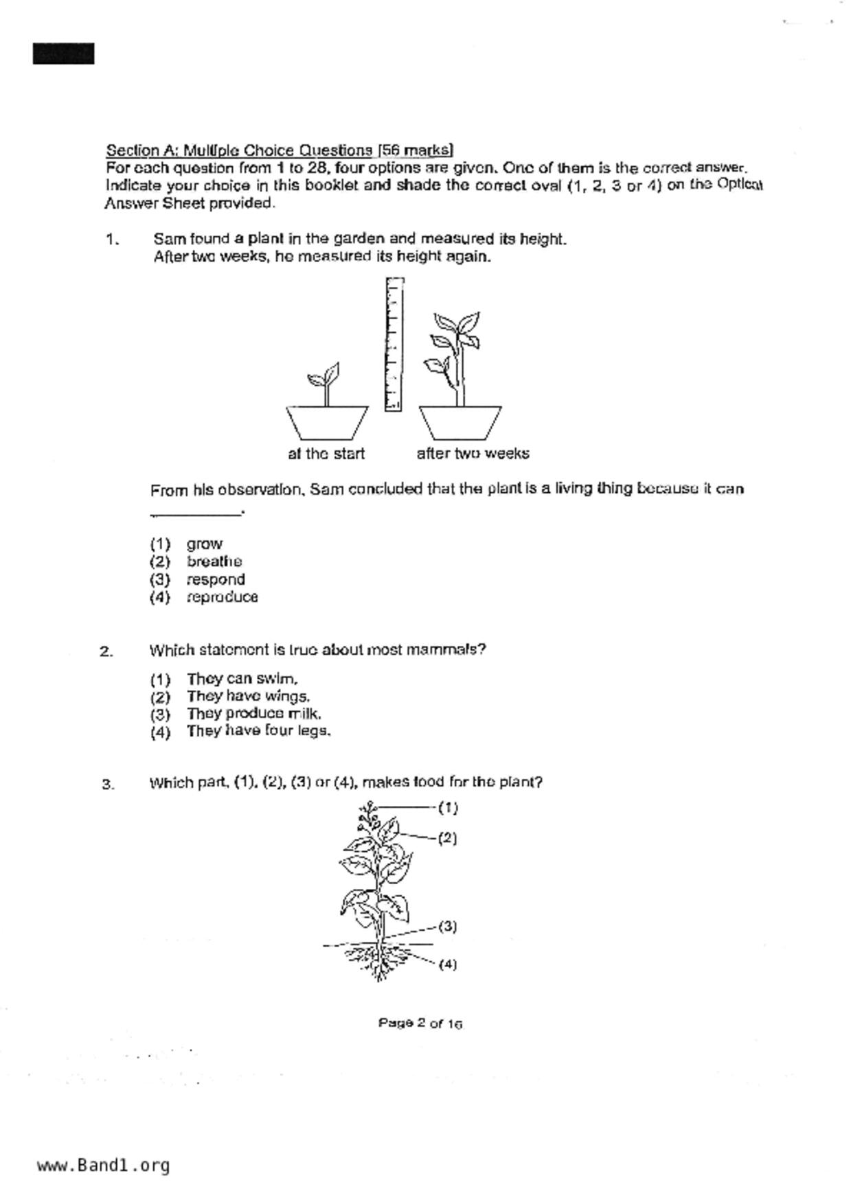 P4Science試卷