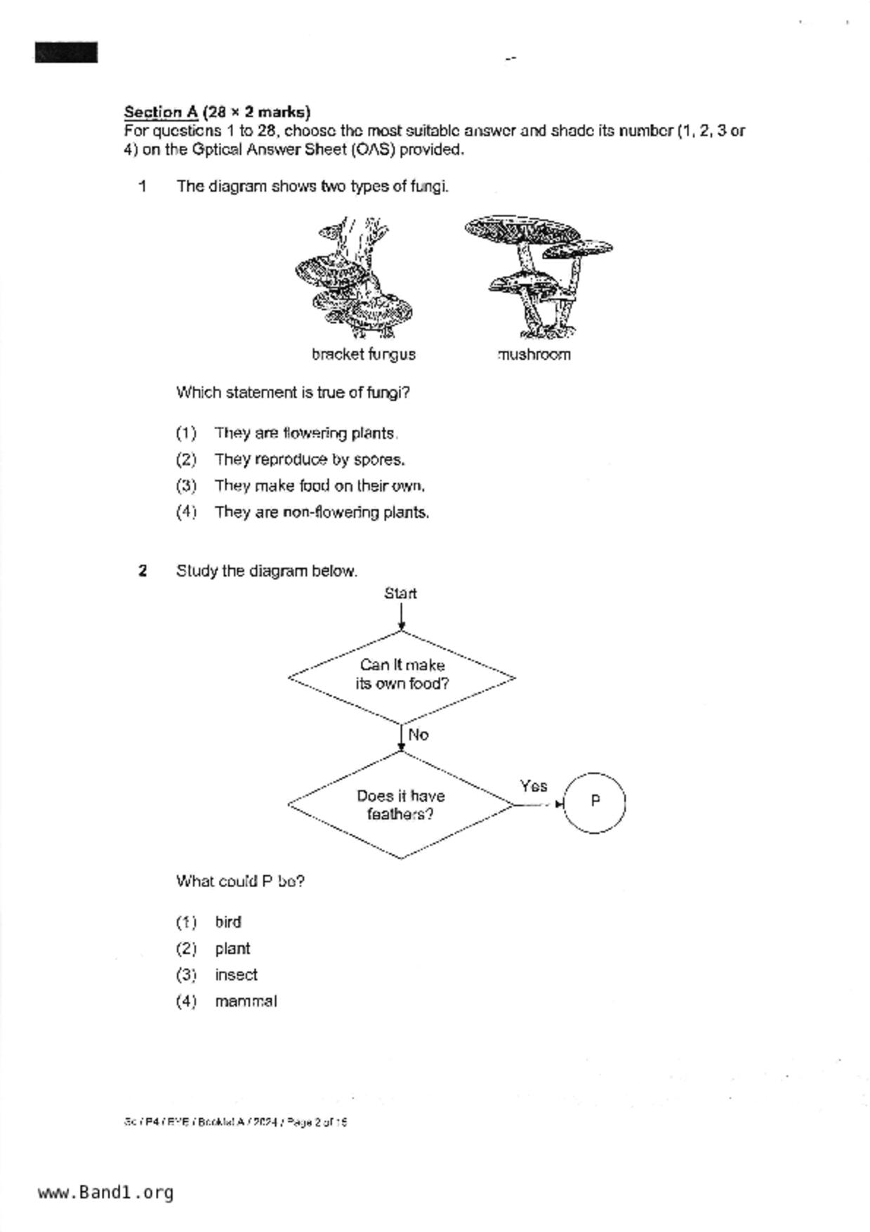 P4Science試卷
