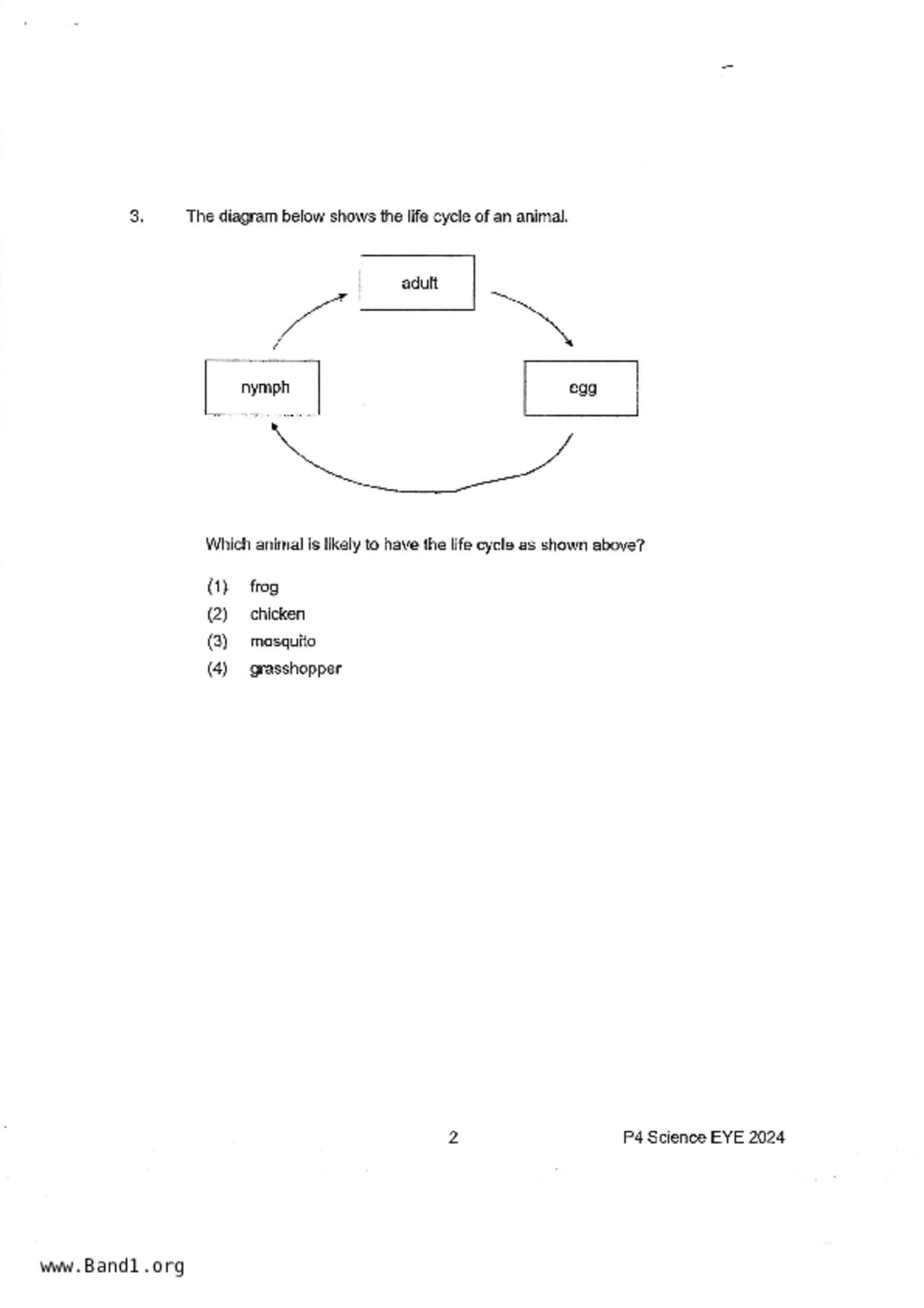 P4Science試卷