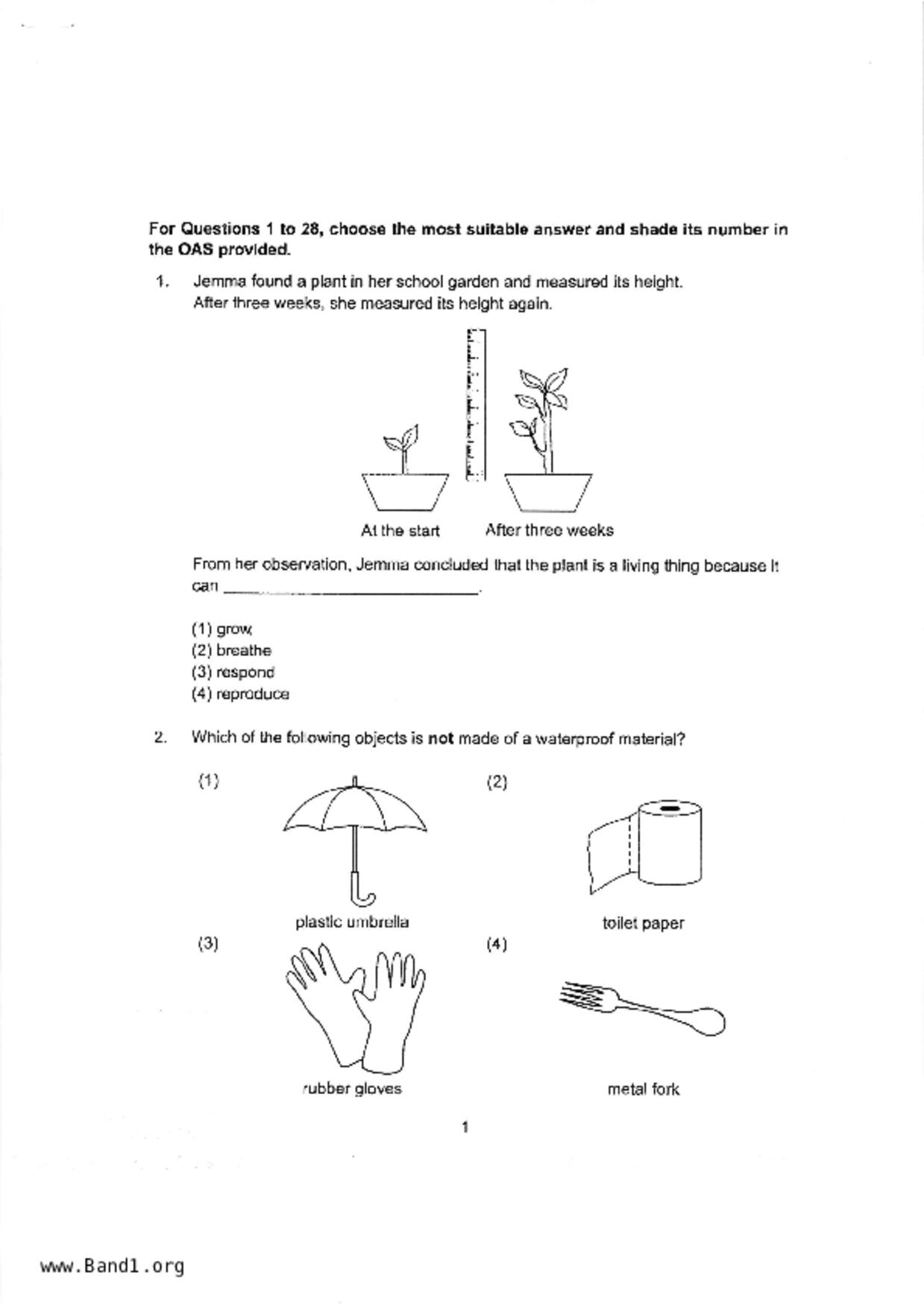 P4Science試卷