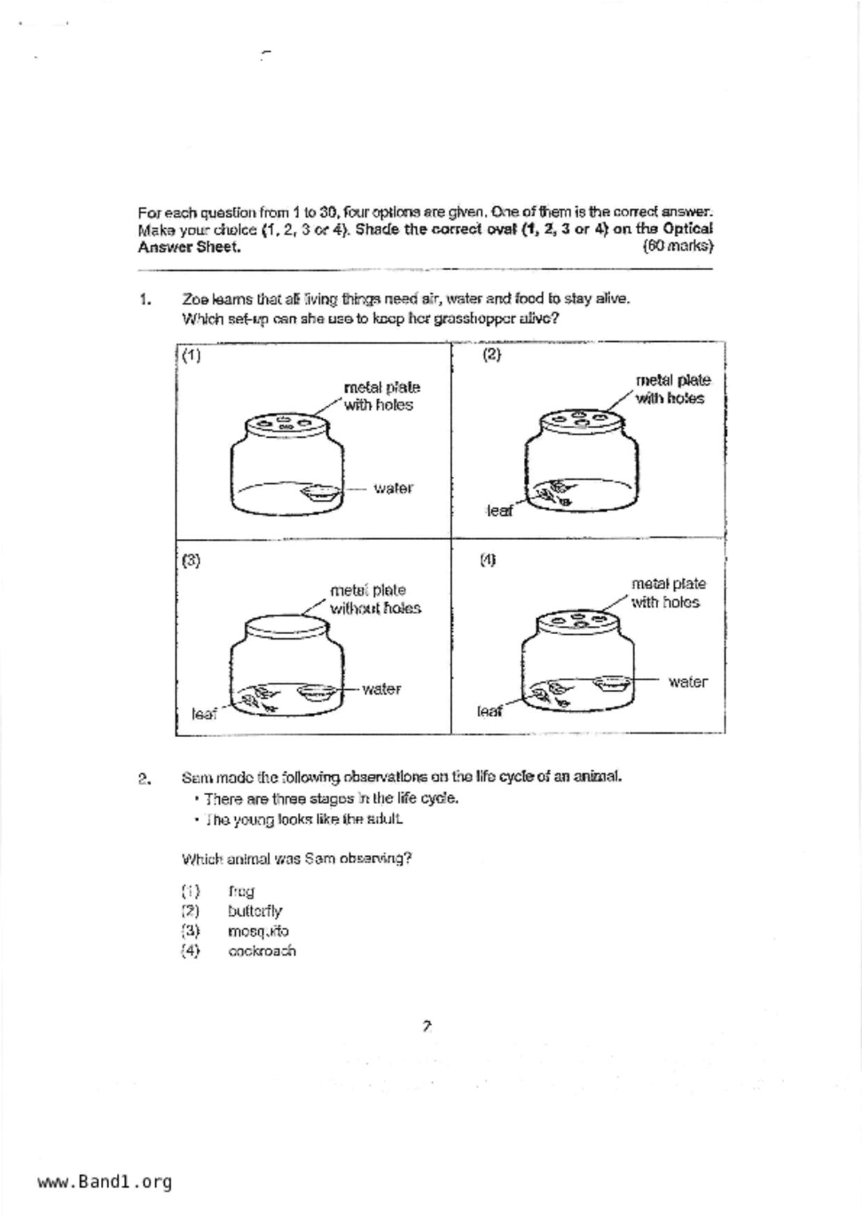 P4Science試卷