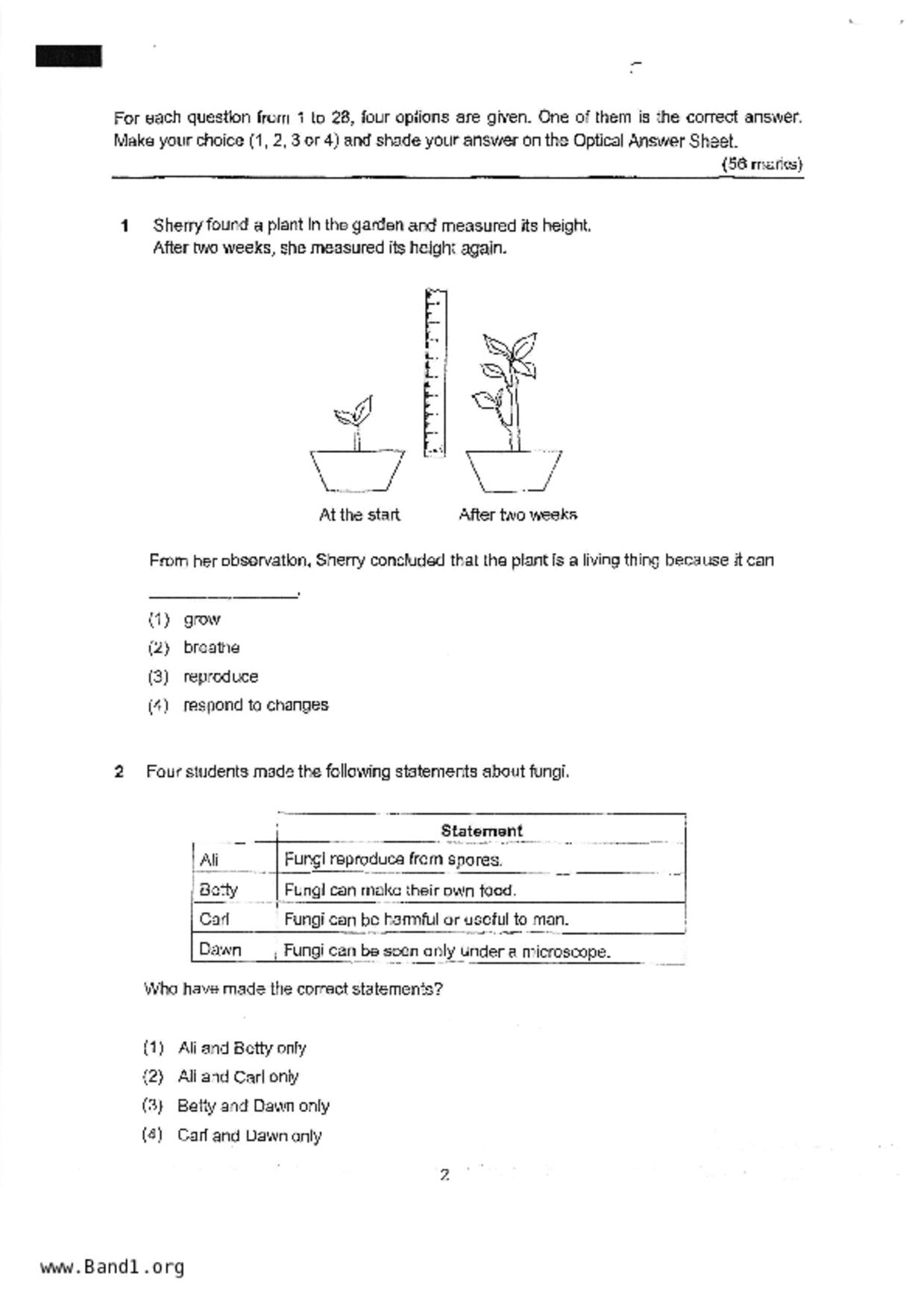 P4Science試卷