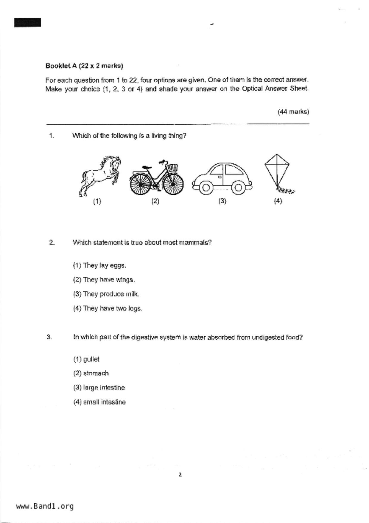 P4Science試卷