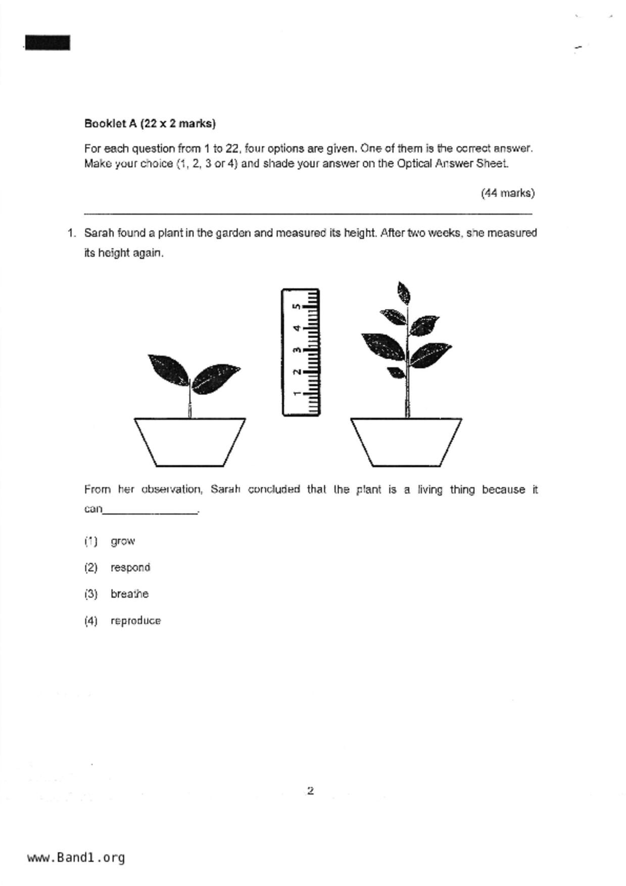 P4Science試卷