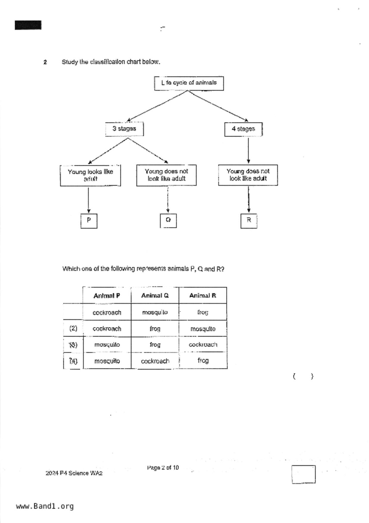 P4Science試卷