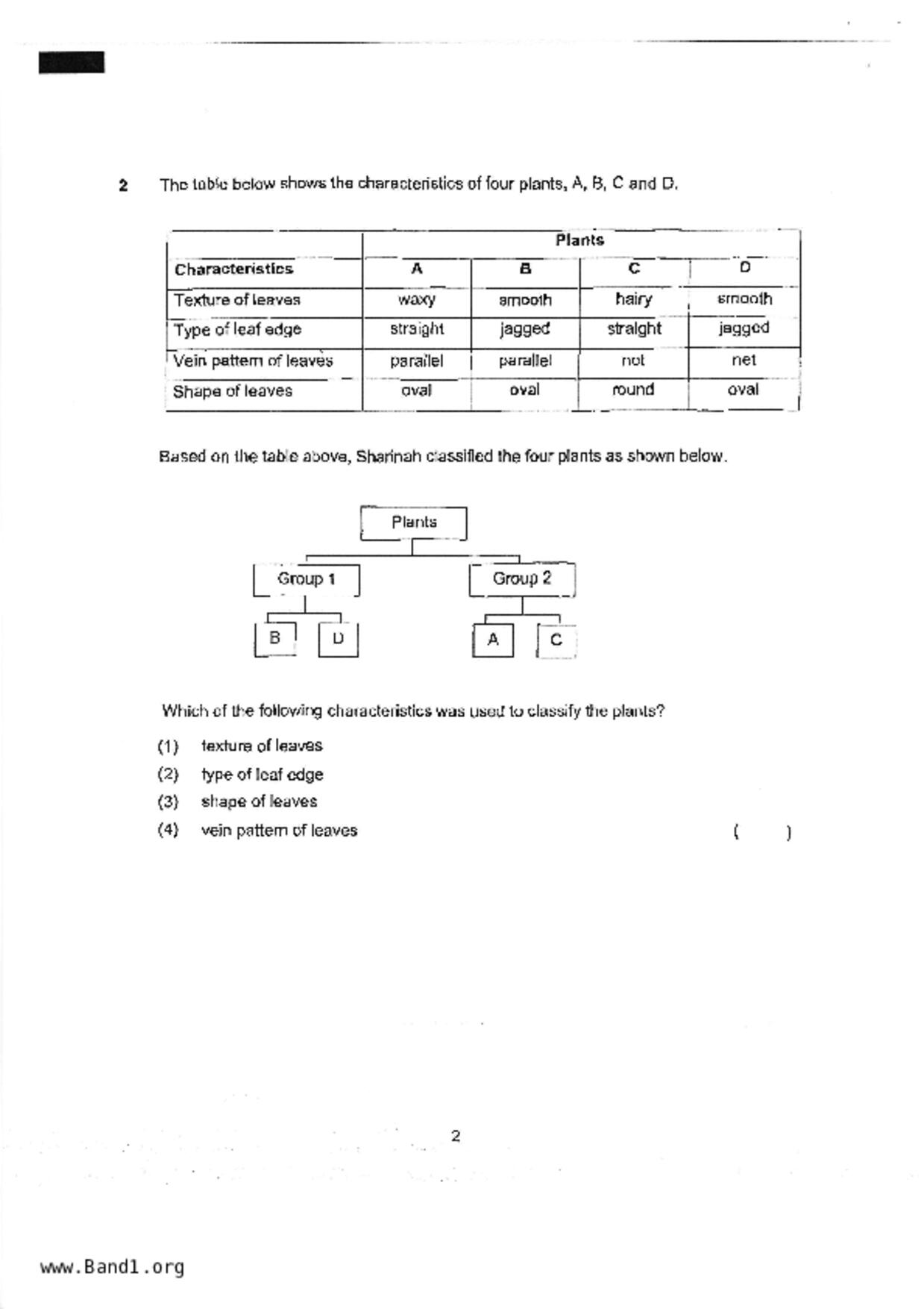 P4Science試卷