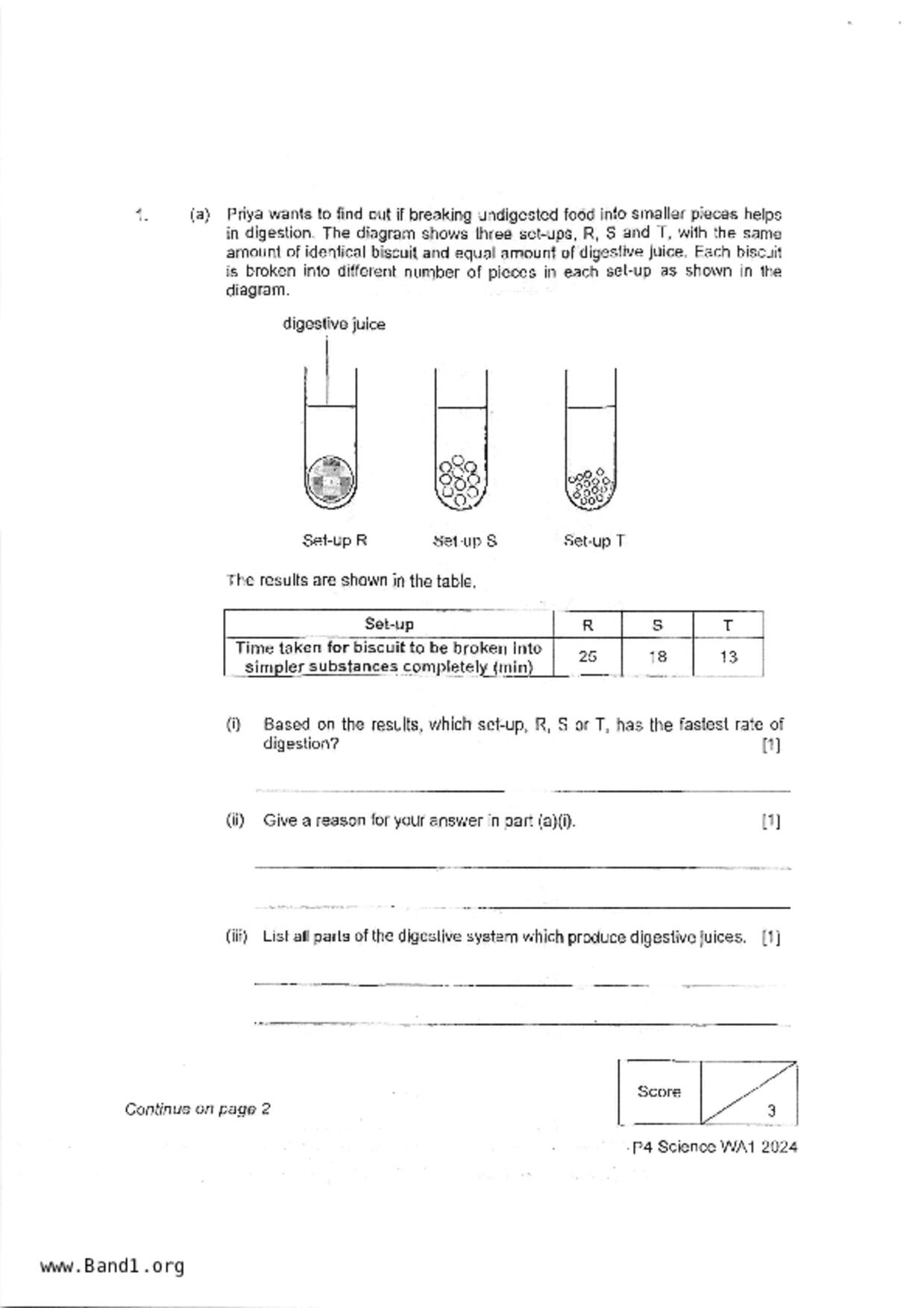 P4Science試卷