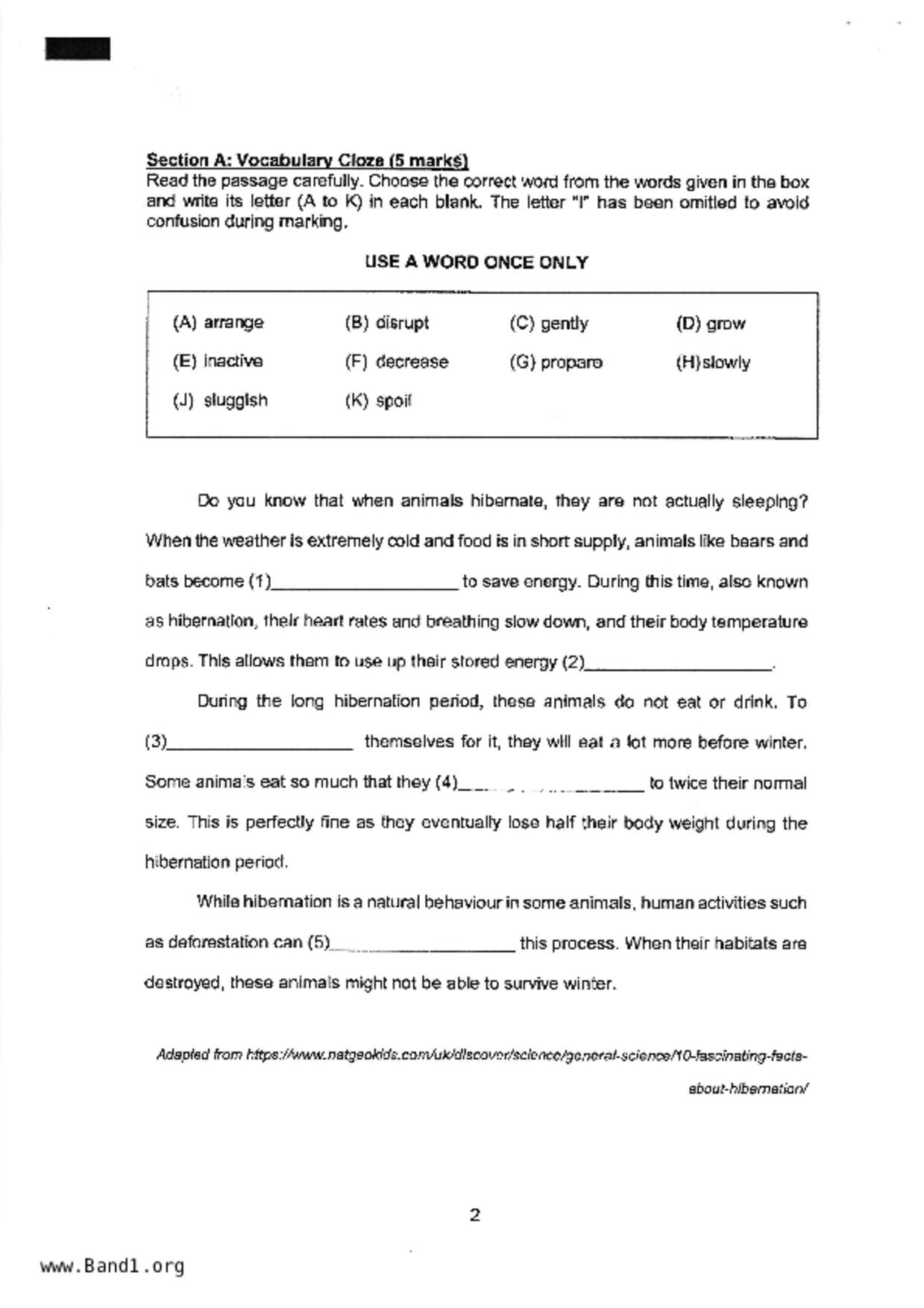 P3English試卷