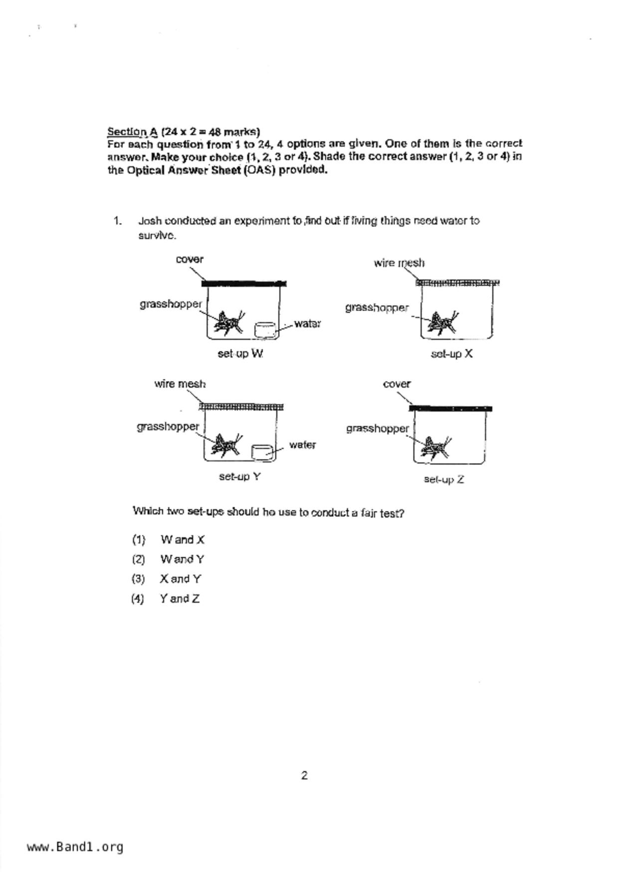 P3Science試卷