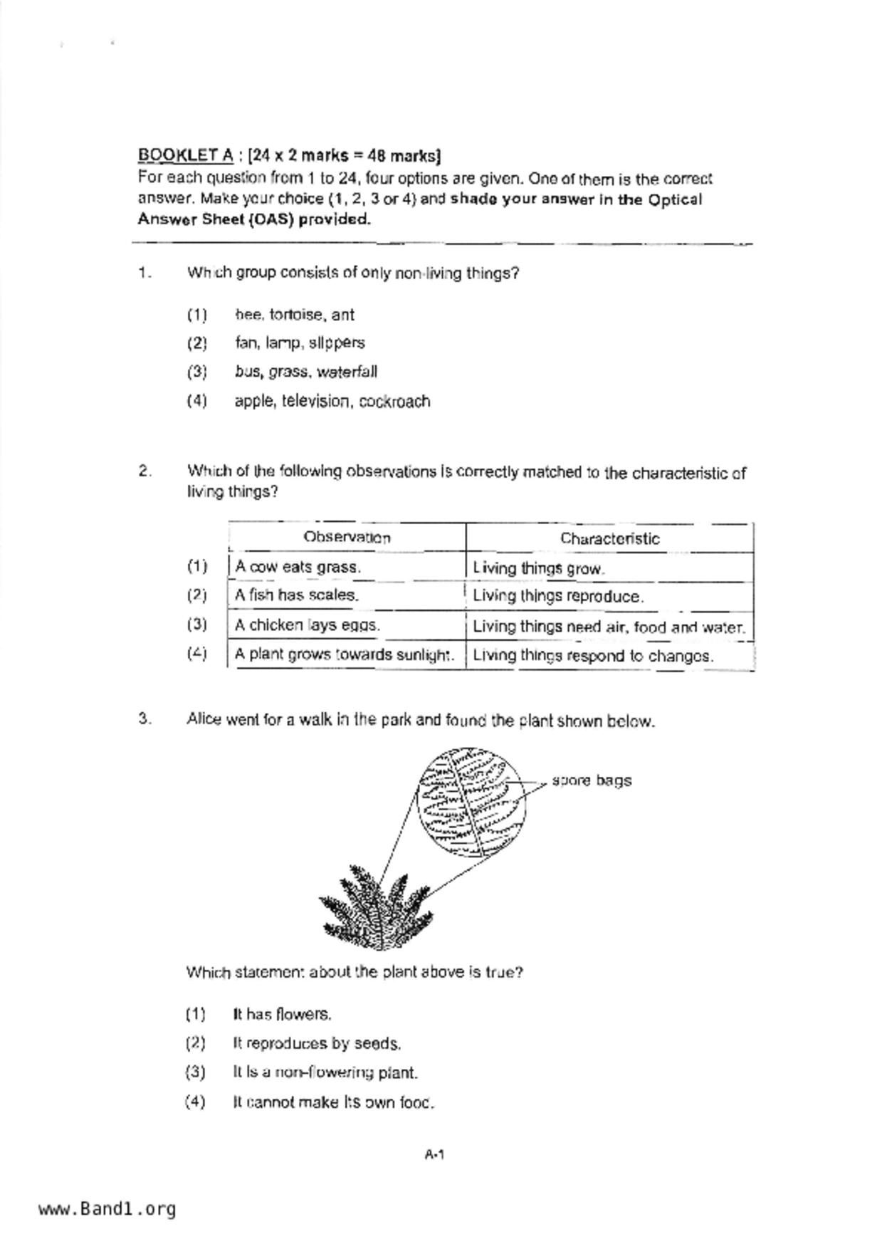 P3Science試卷