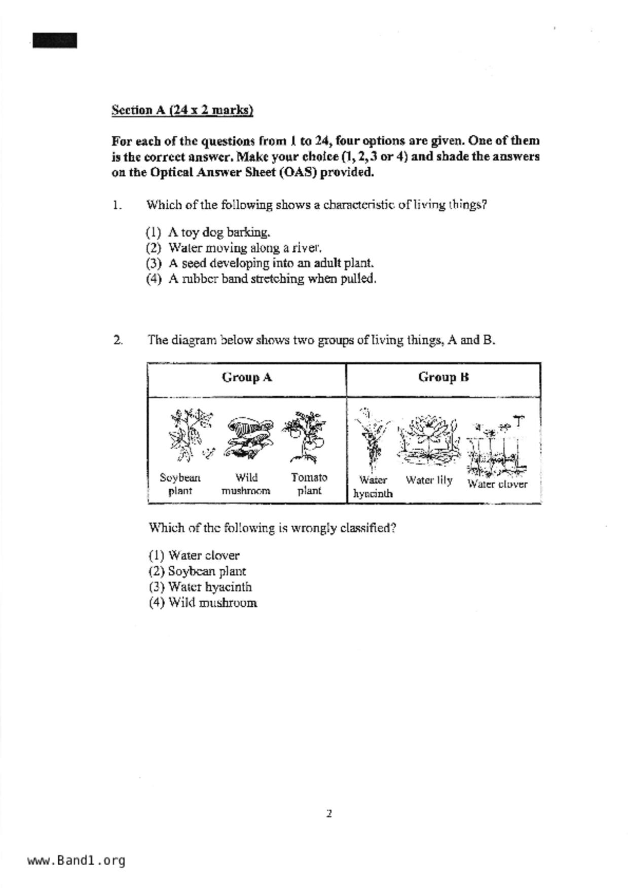 P3Science試卷