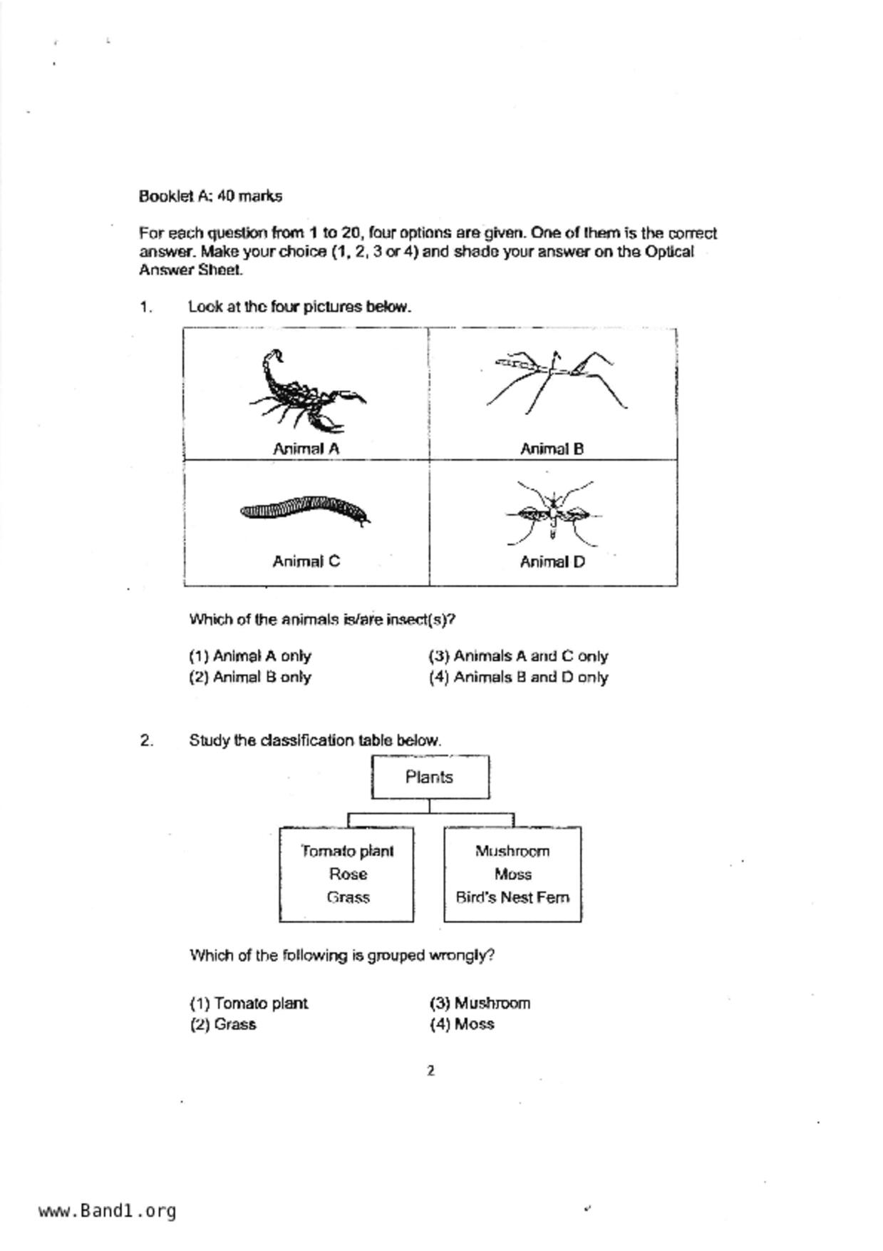 P3Science試卷