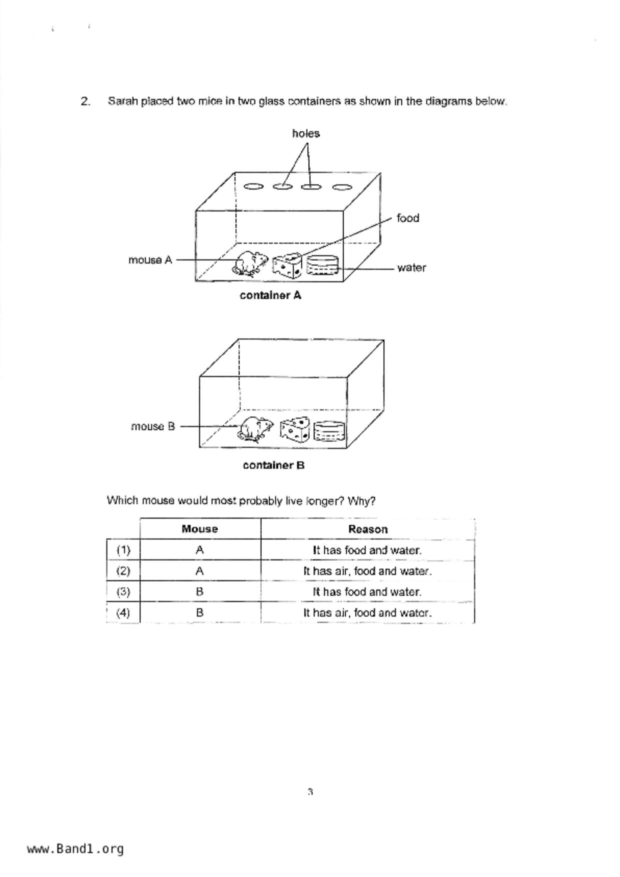 P3Science試卷