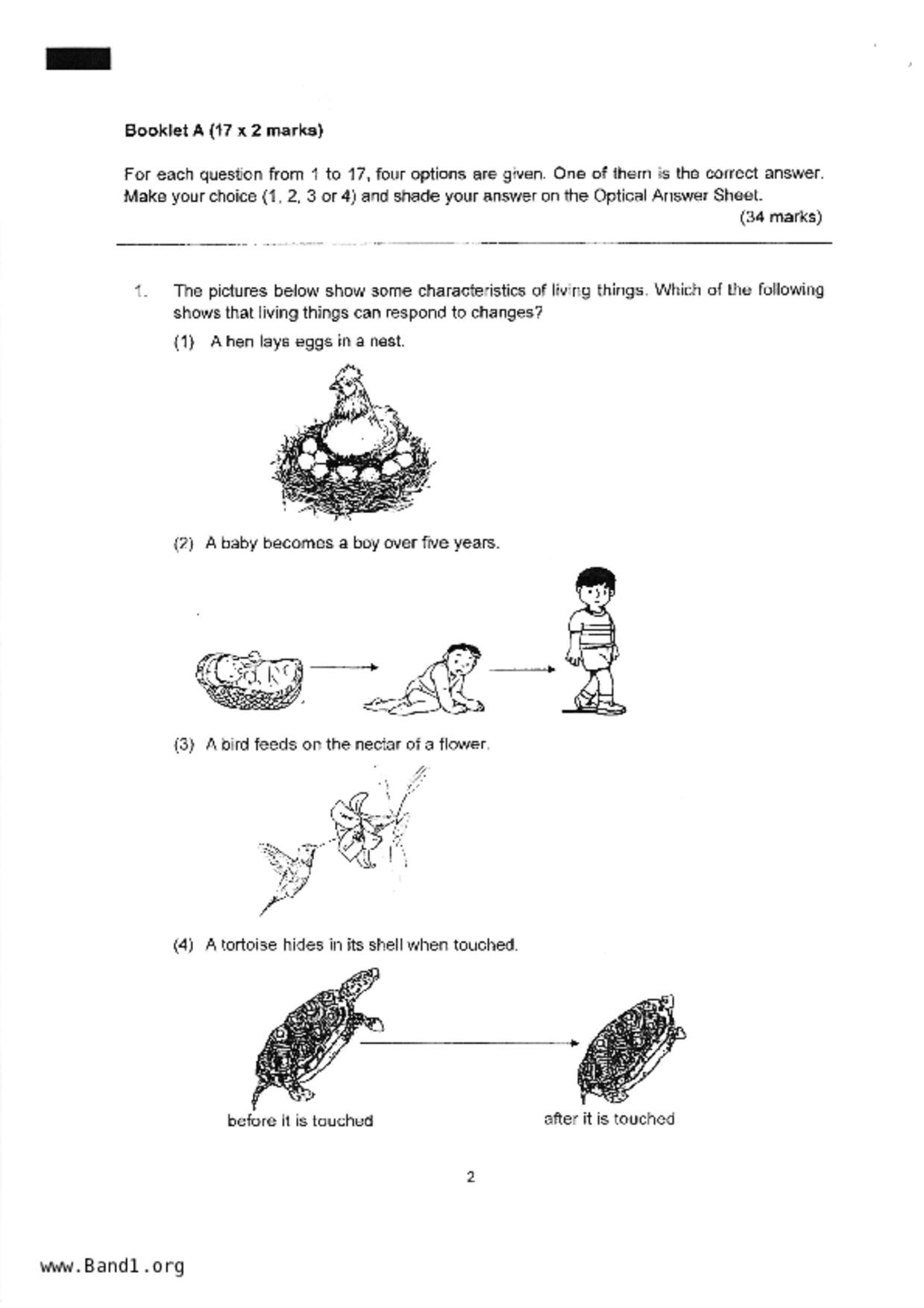 P3Science試卷