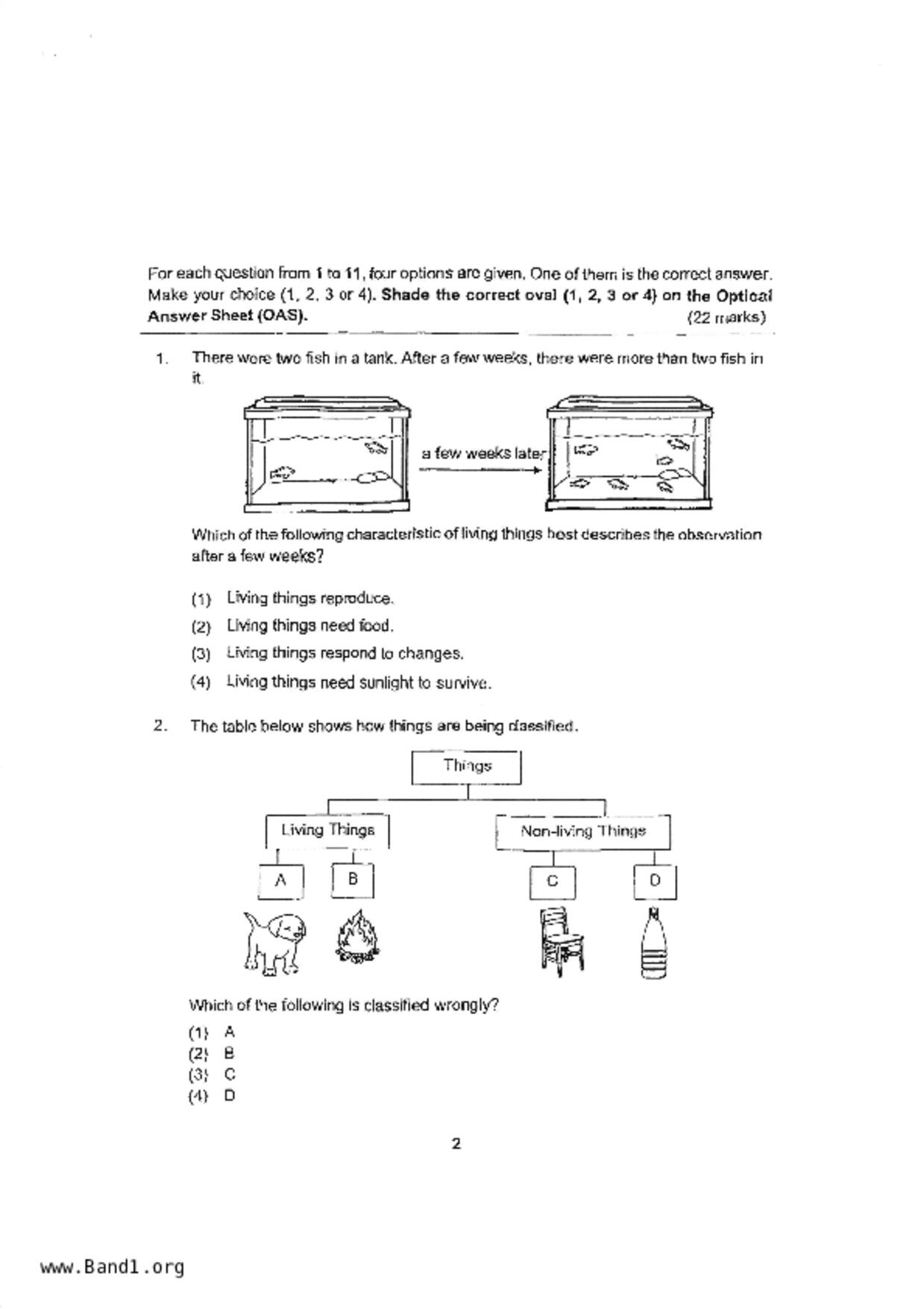 P3Science試卷