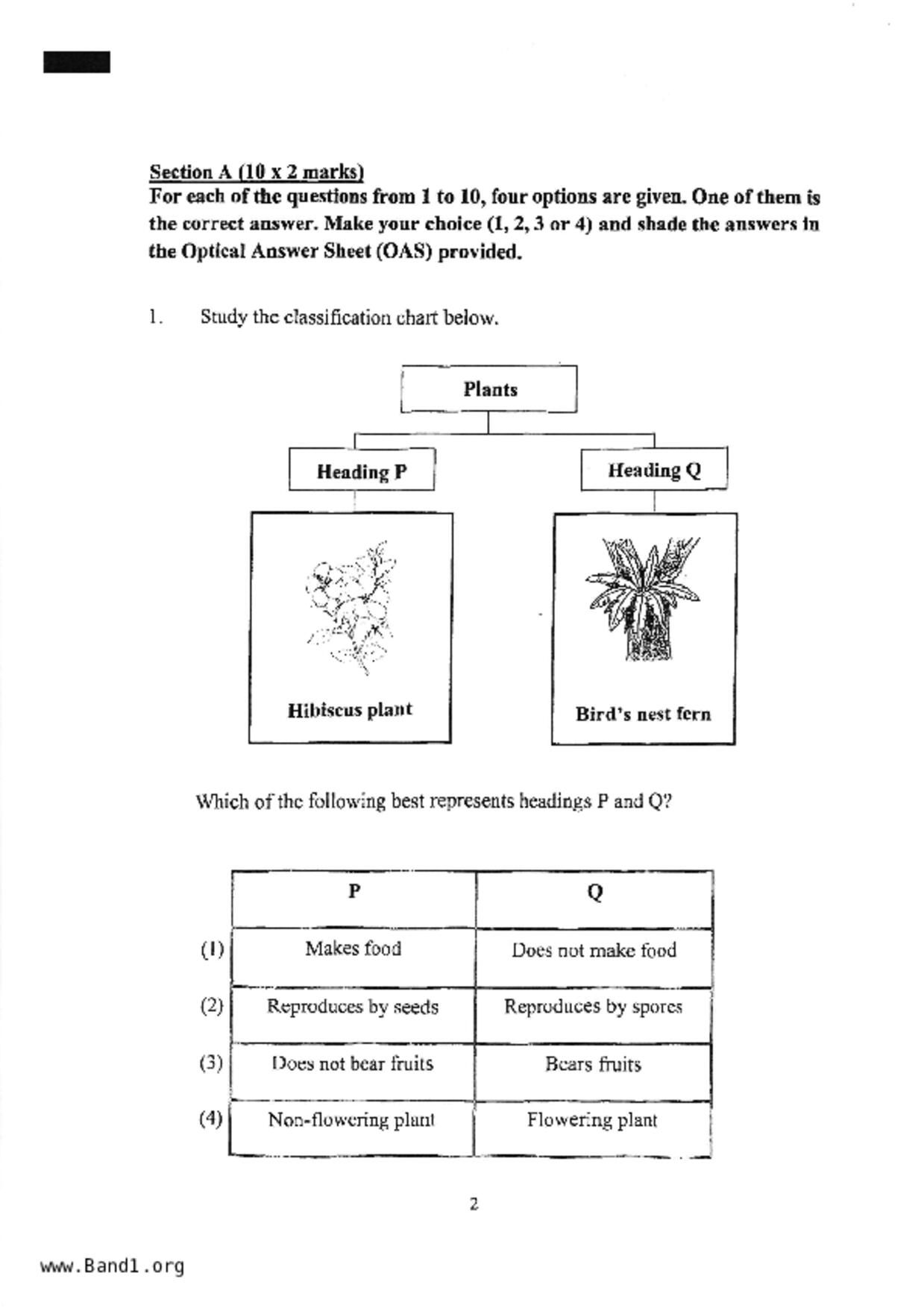 P3Science試卷