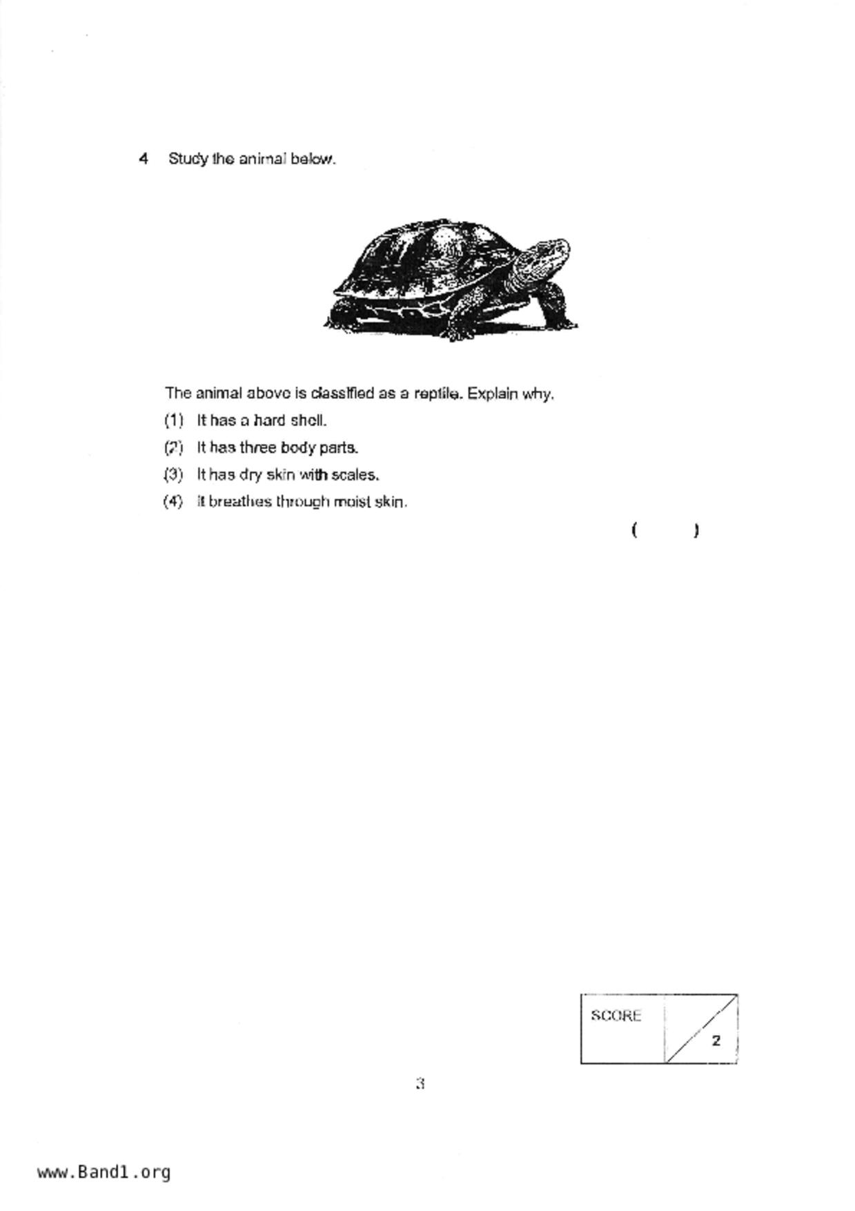 P3Science試卷