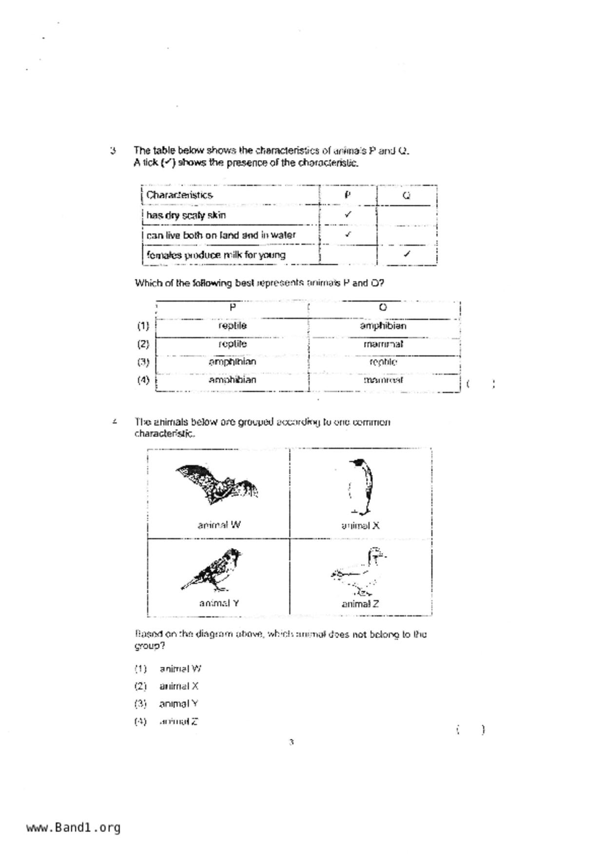 P3Science試卷