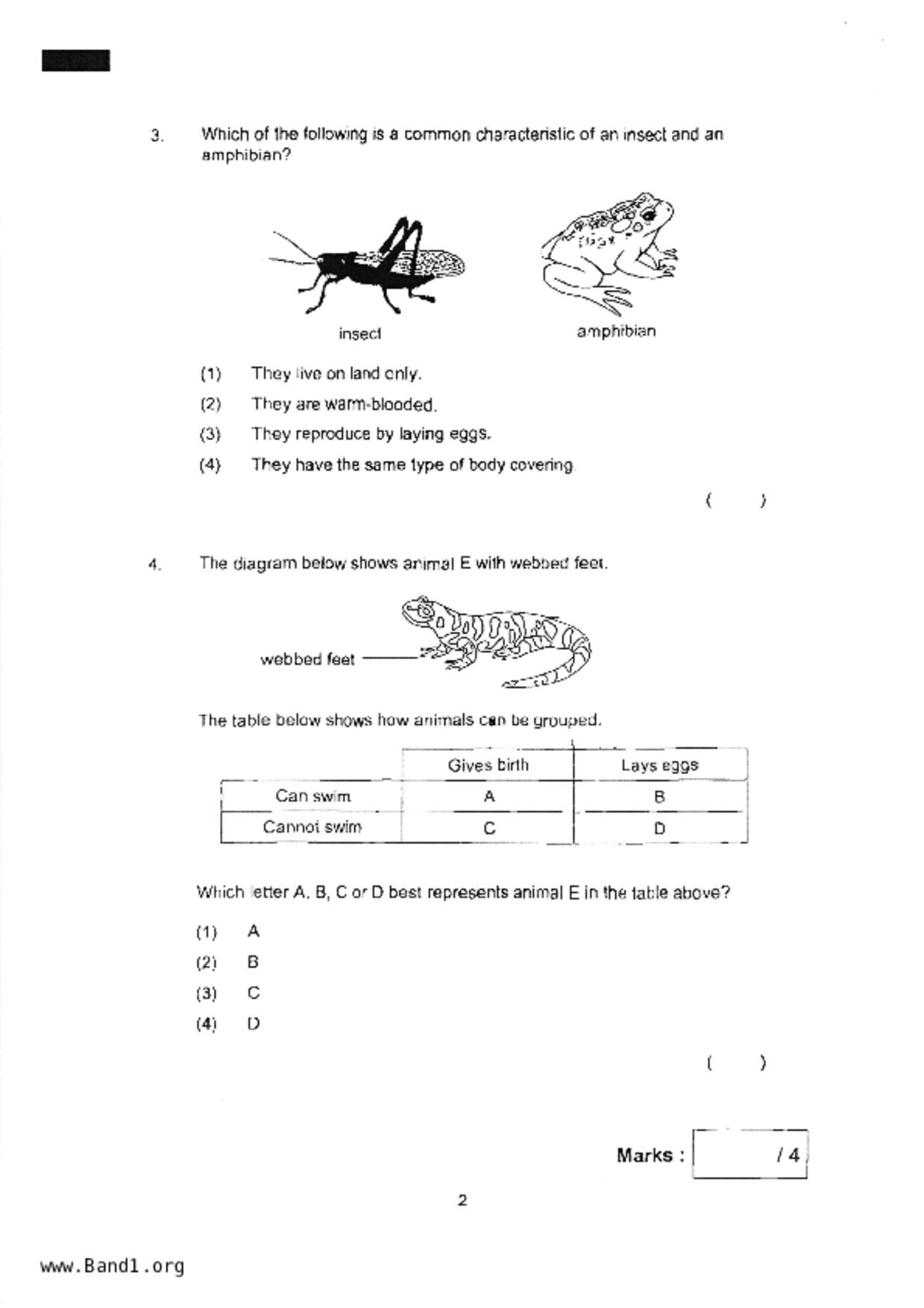 P3Science試卷